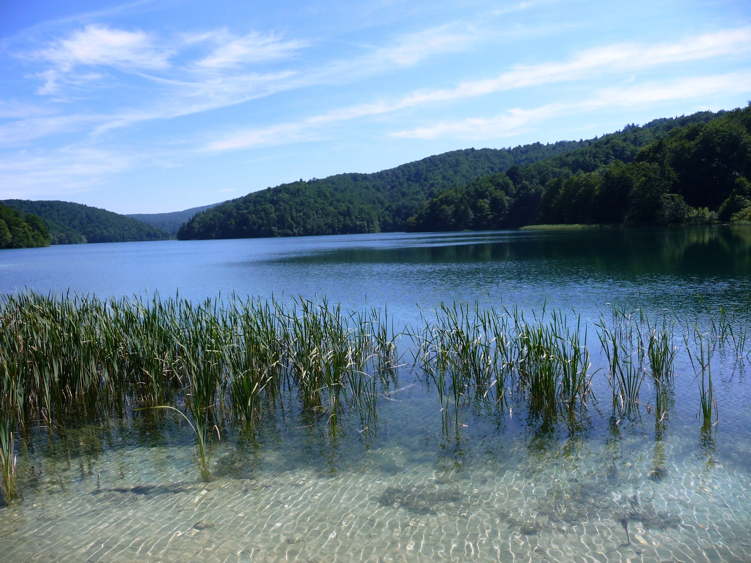 Why now is a good time to think about your career future