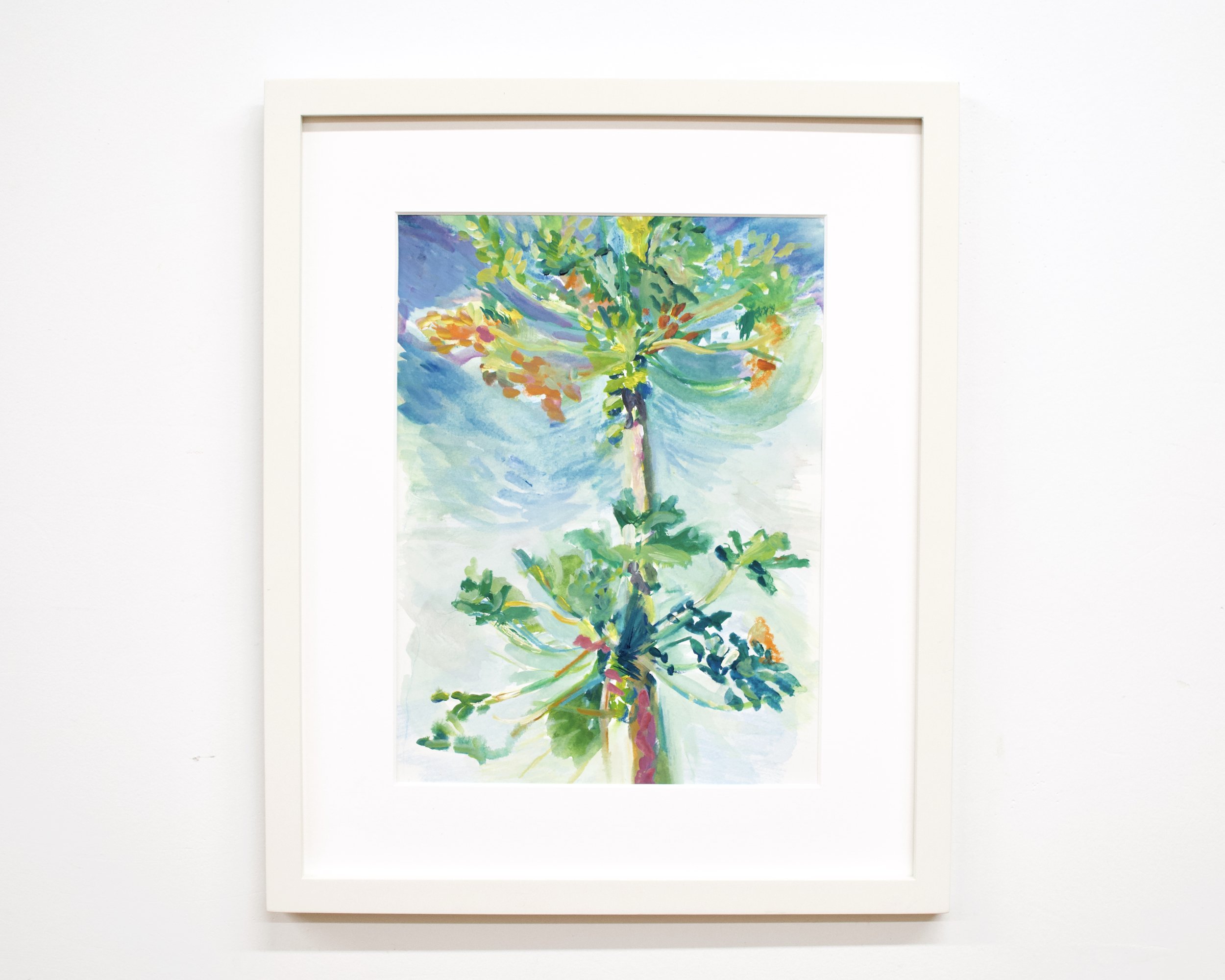 Papaya Watercolor on paper 9” x 12” 14 “ x 17" (framed)