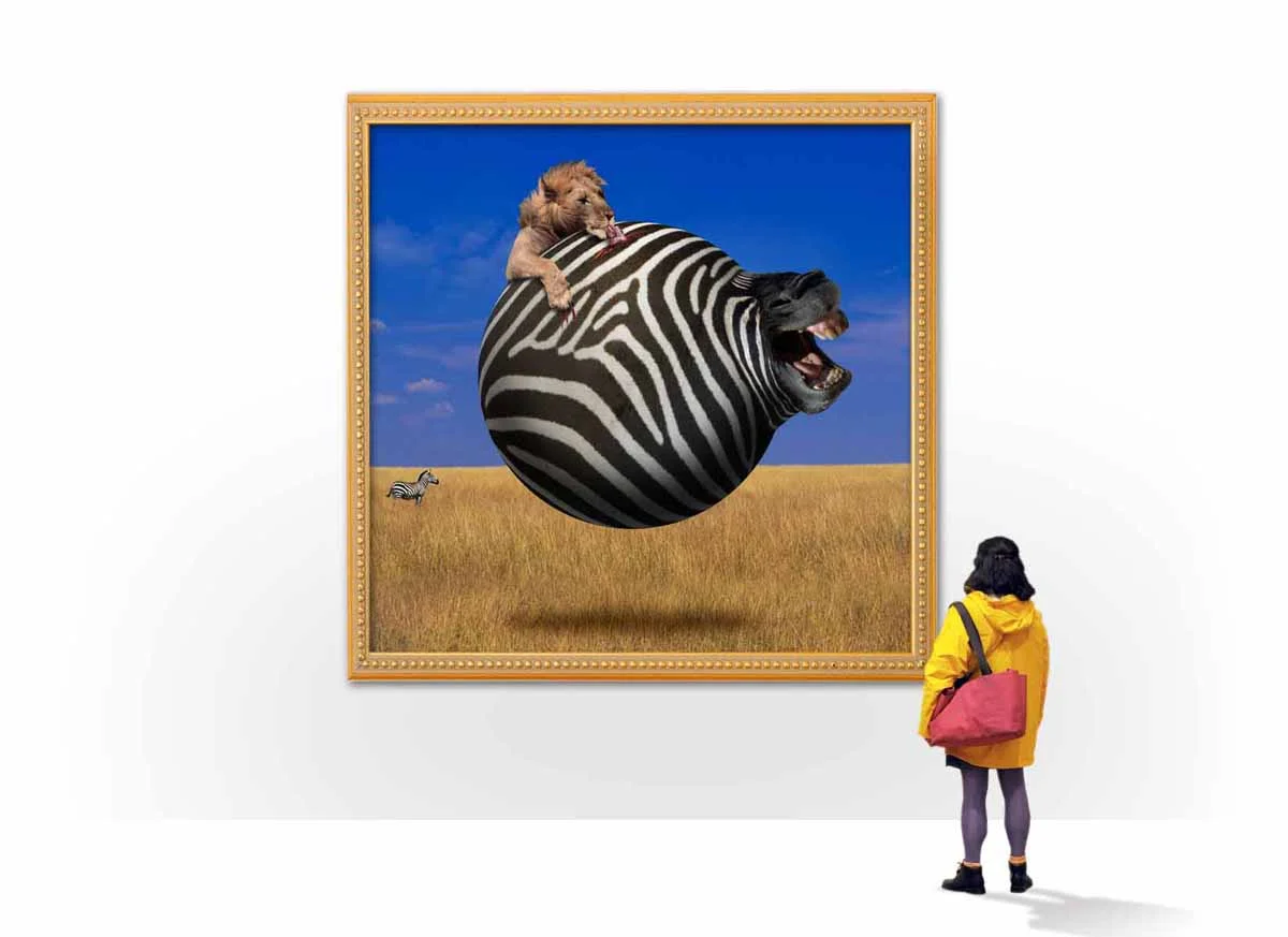 ani5.jpg