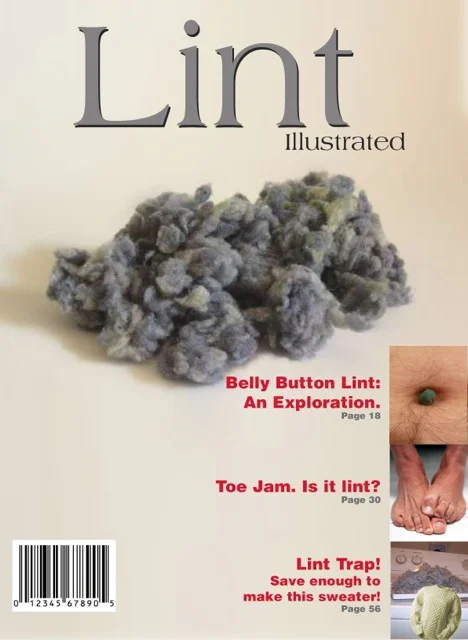 lint.jpg