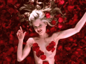 ab1.gif