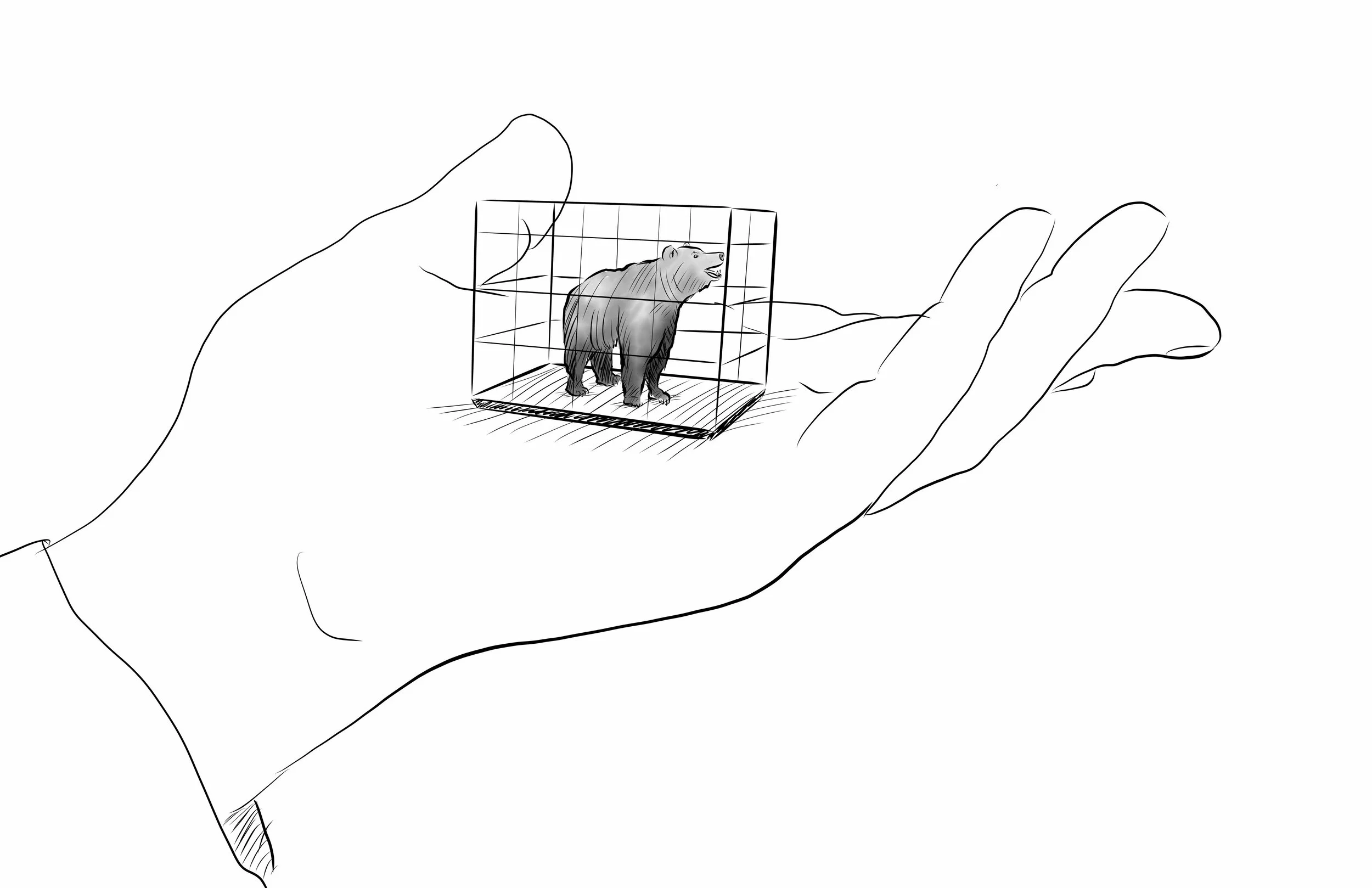 smallbear.jpg