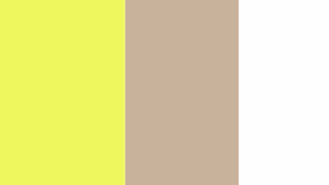 Yellow 4.jpg