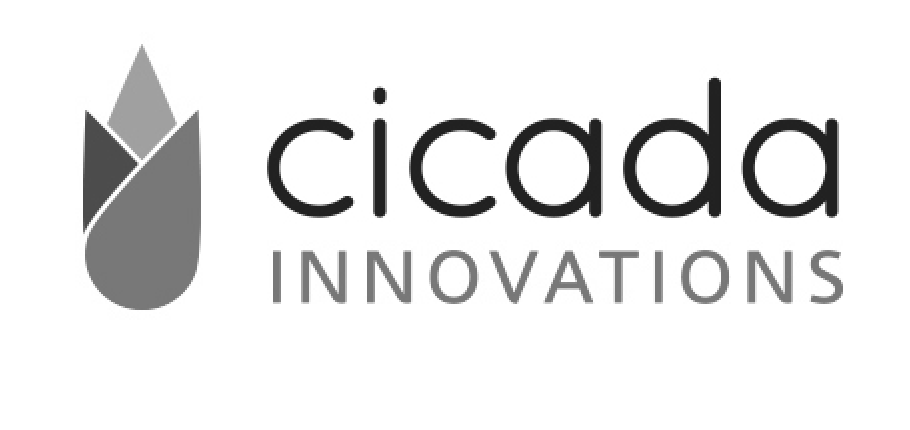 Cicada.png