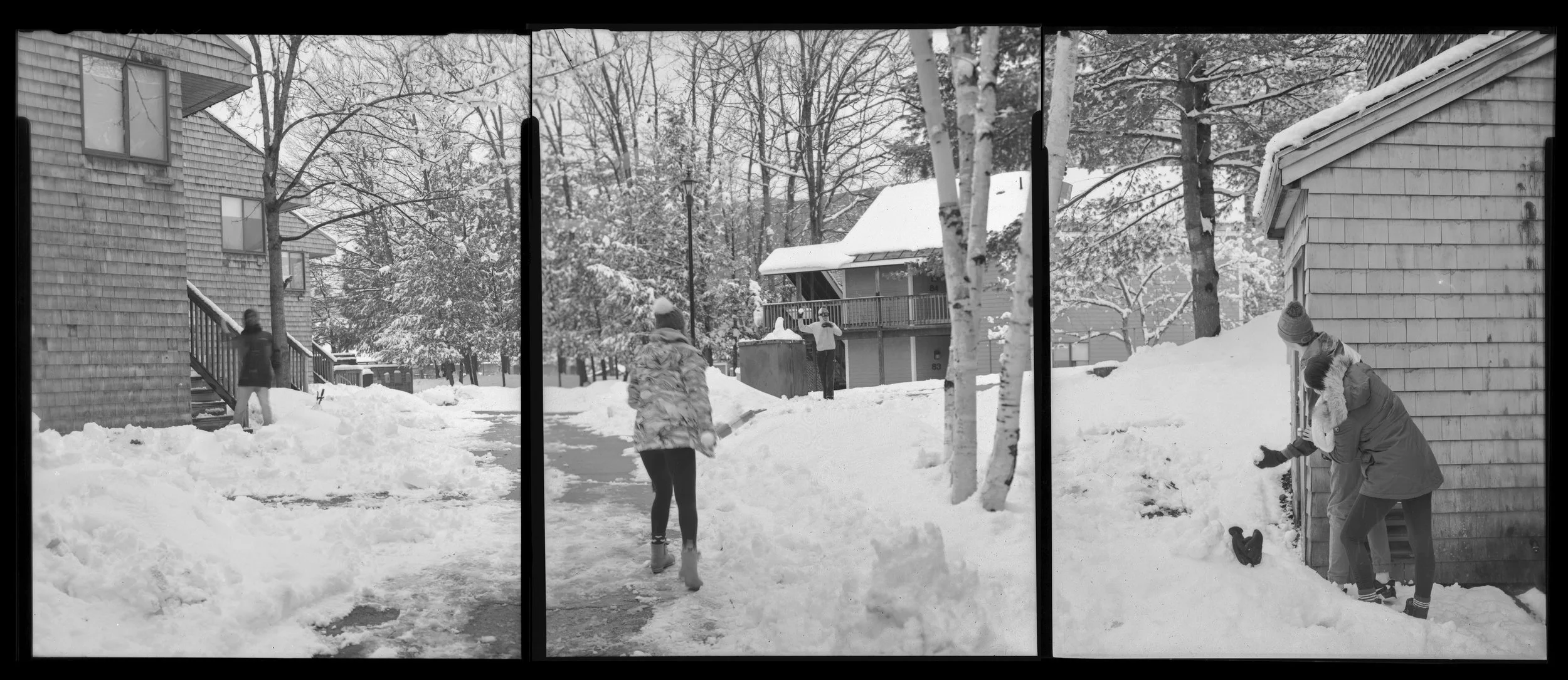 snowball fight.jpg