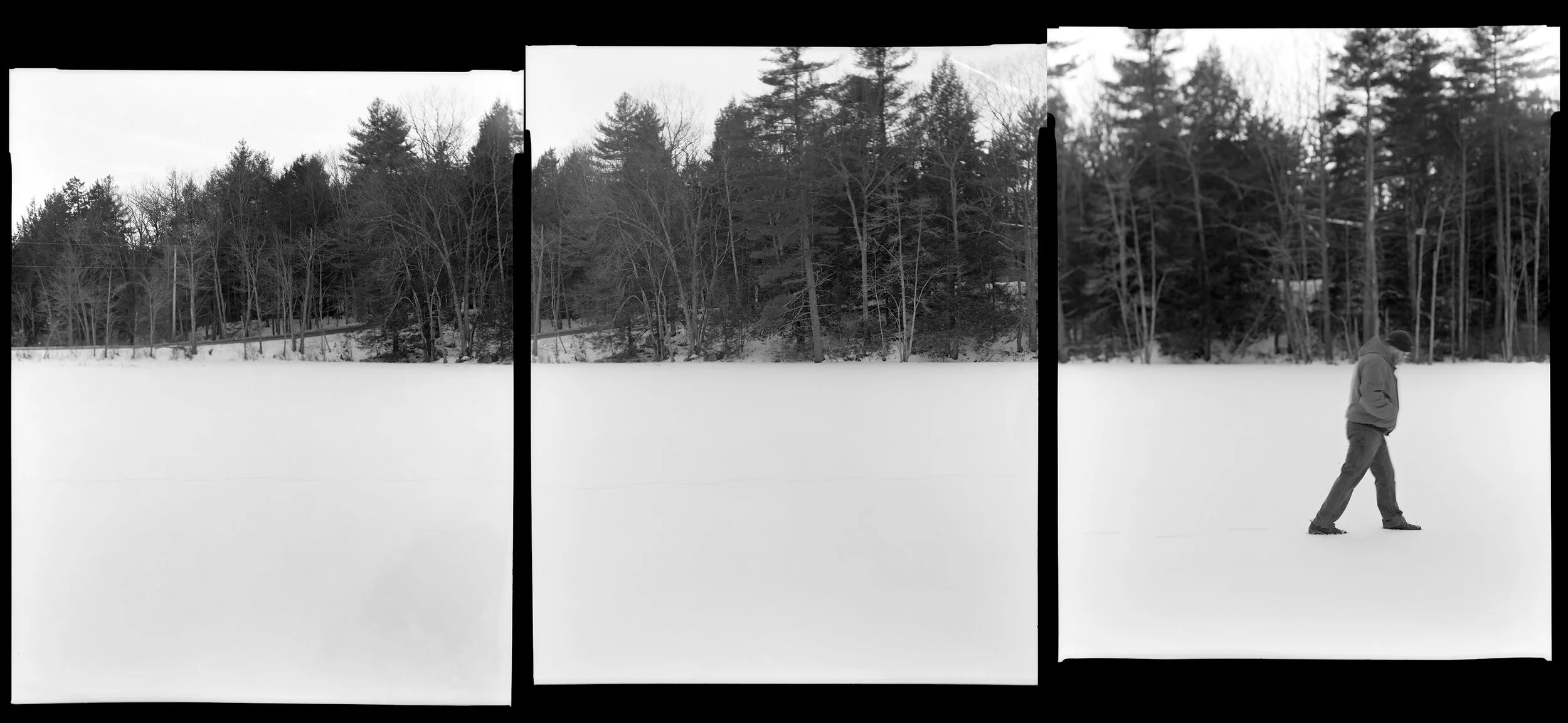 frozen pond.jpg