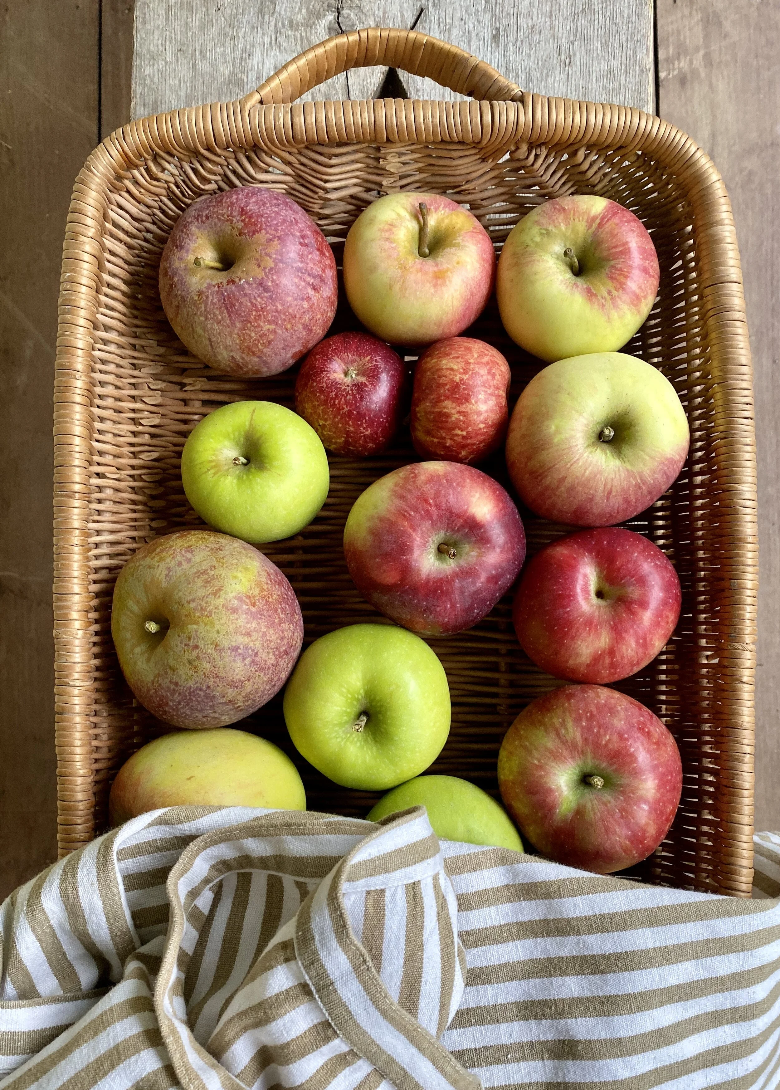 Shelburne Farm heirloom apple selection is very exciting. Shown above: Blue Pearmain, Firecrackers, Kidd’s Orange Red, Grimes Golden, Bonkers, and Chenago Strawberry.