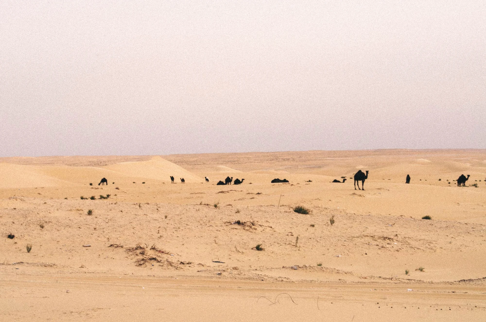 saudi arabia