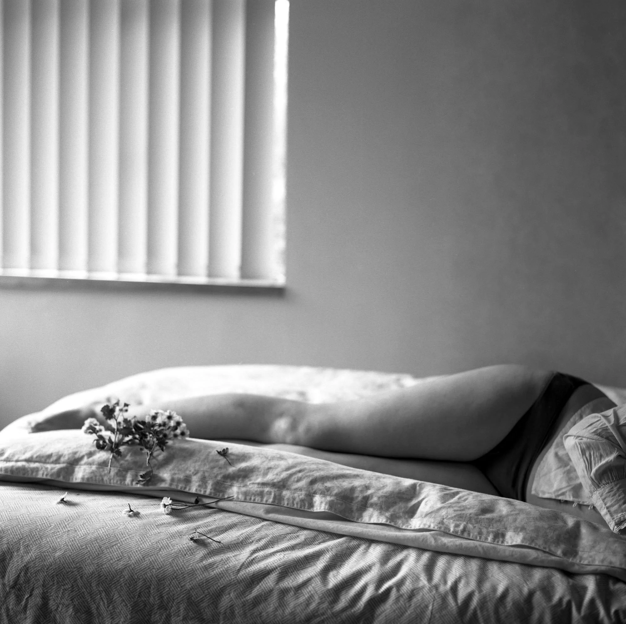 girl01.jpg