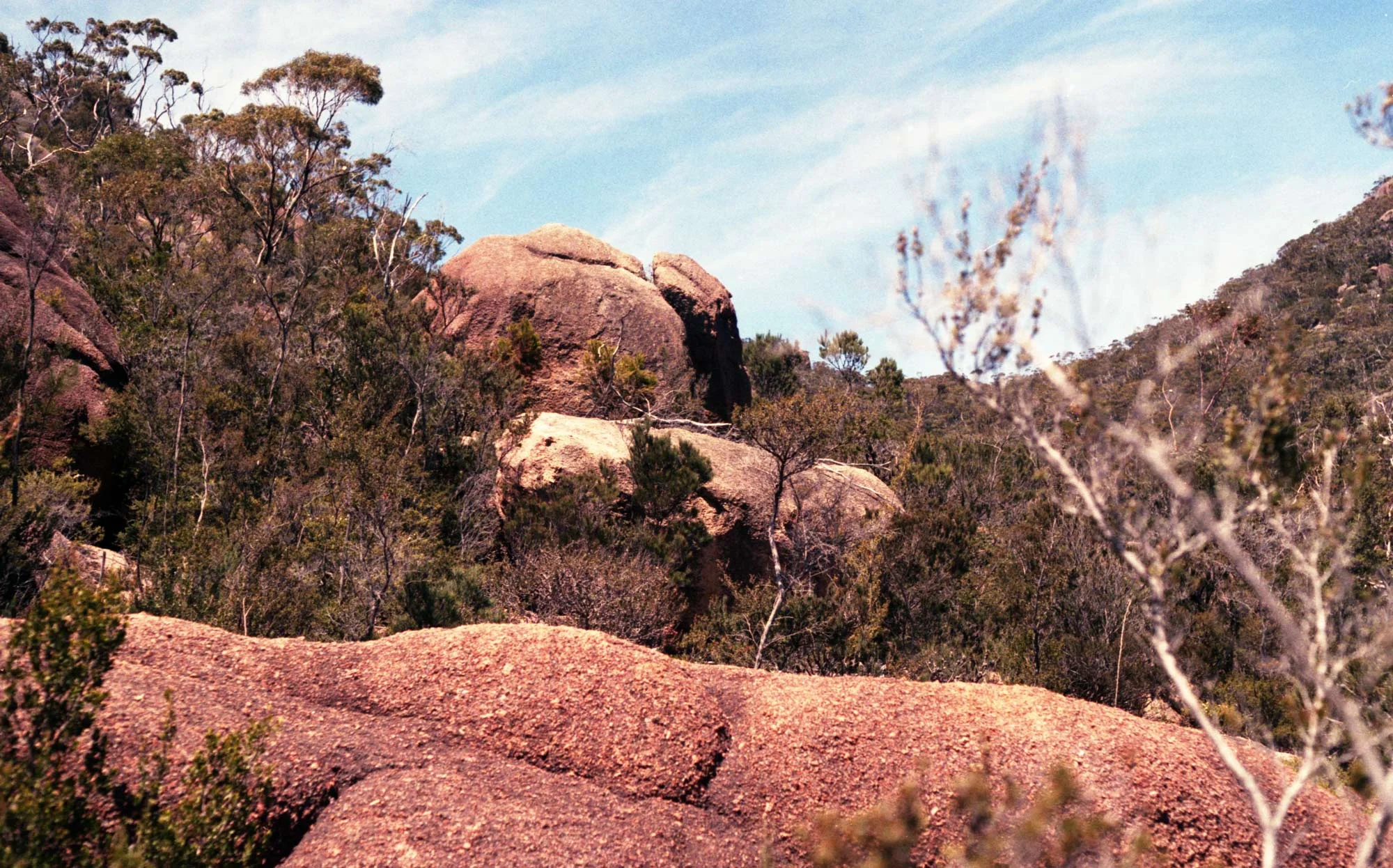 nadiarefaei_tasmania01.jpg