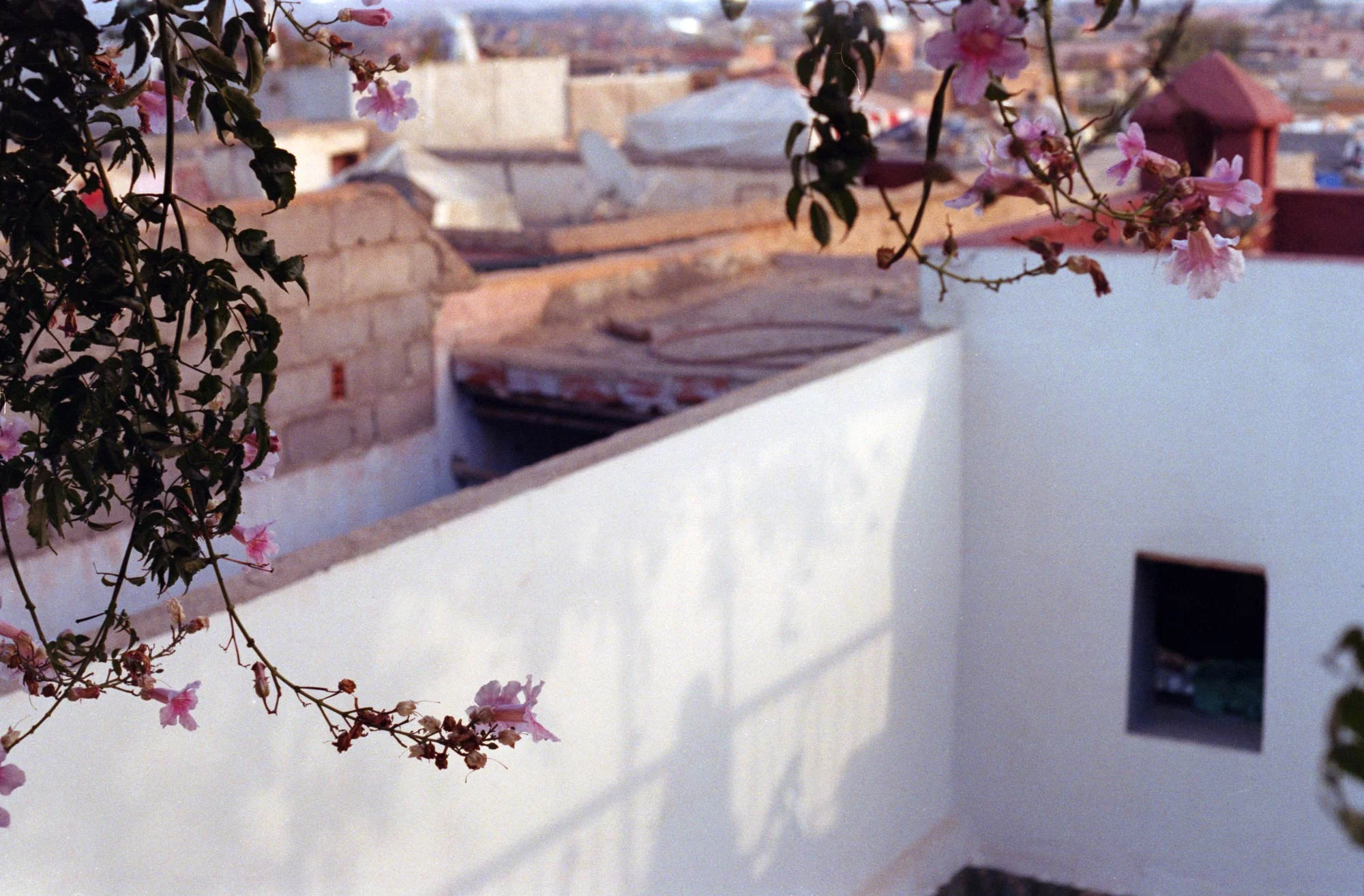 nadiarefaei_morocco10.jpg