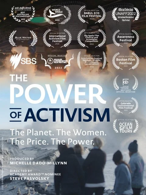 Power of Activism Poster DEC 2022.jpeg