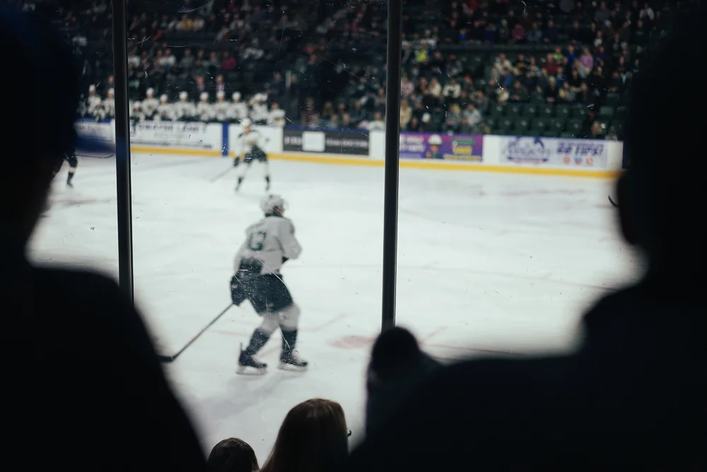 4 Reasons We Love Playoff Hockey