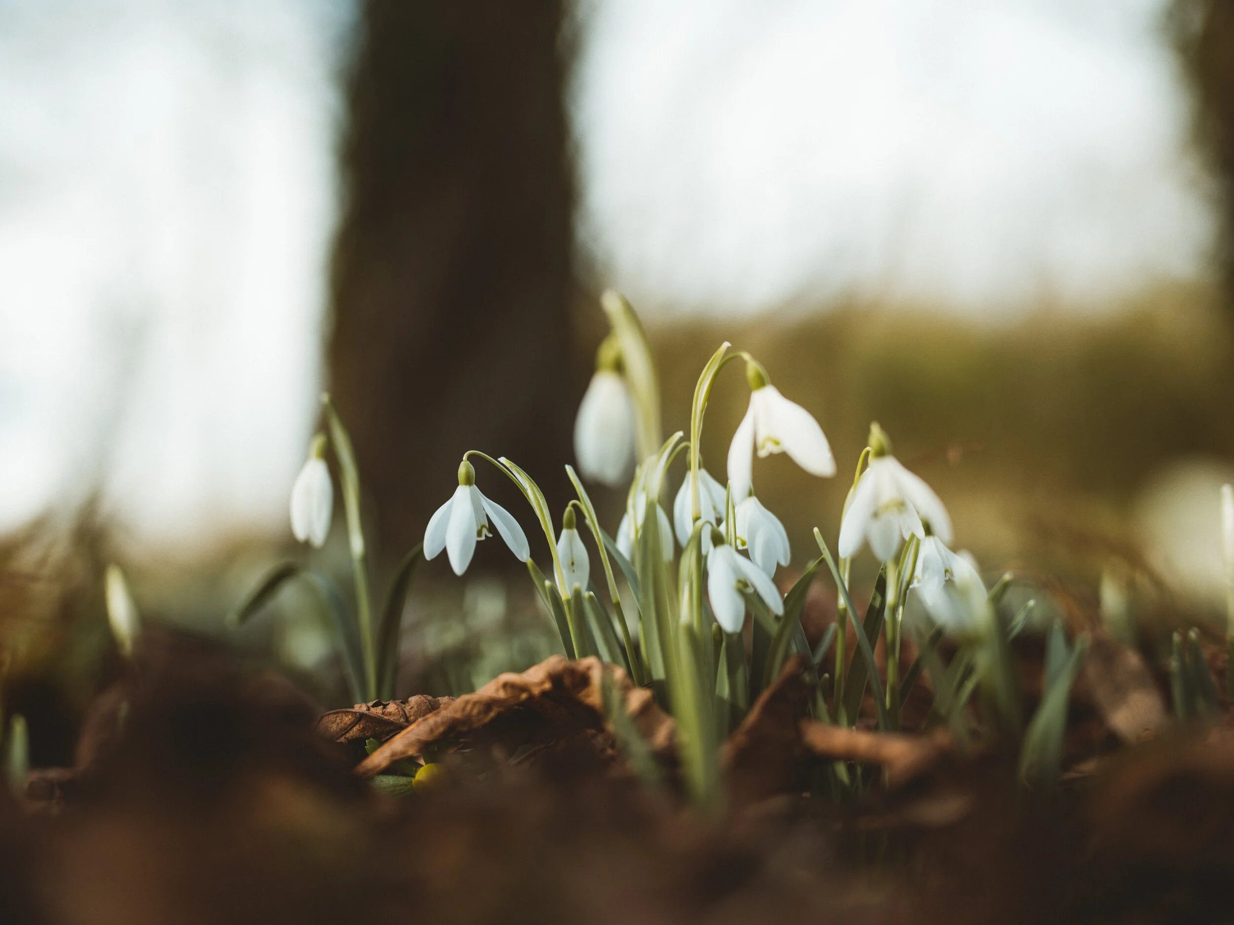 4 Ways to Ease into Gardening Season