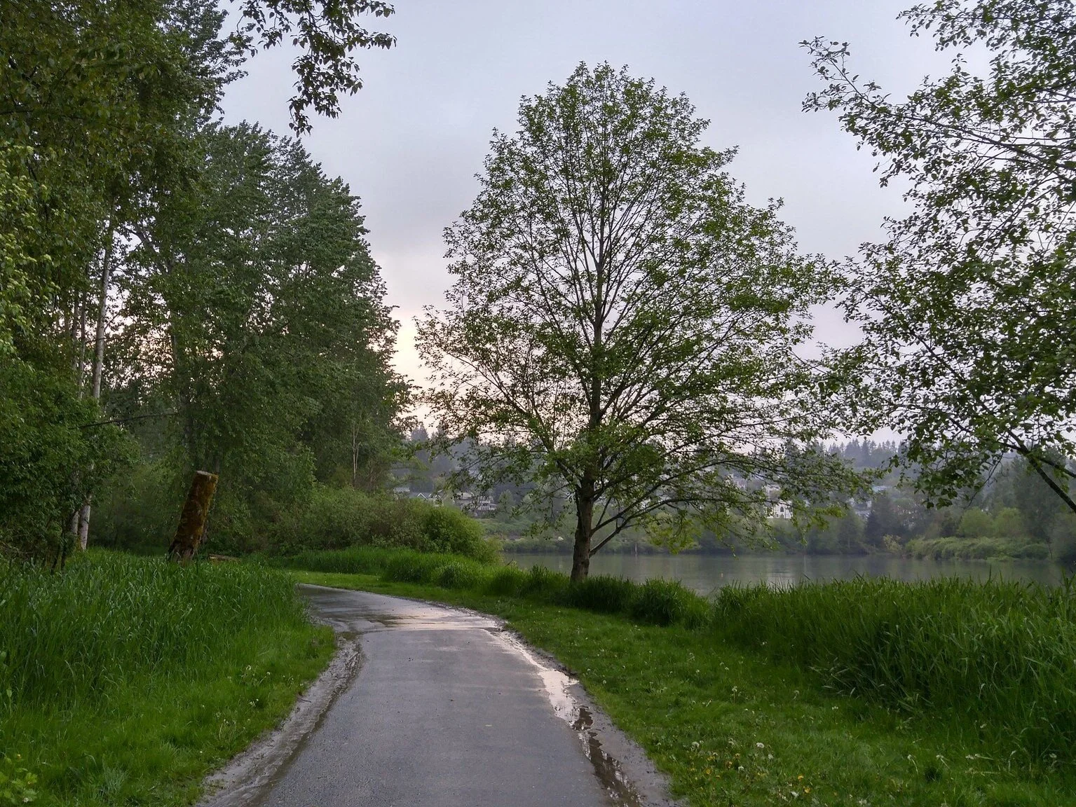 Four Fun Things: Nature Walks