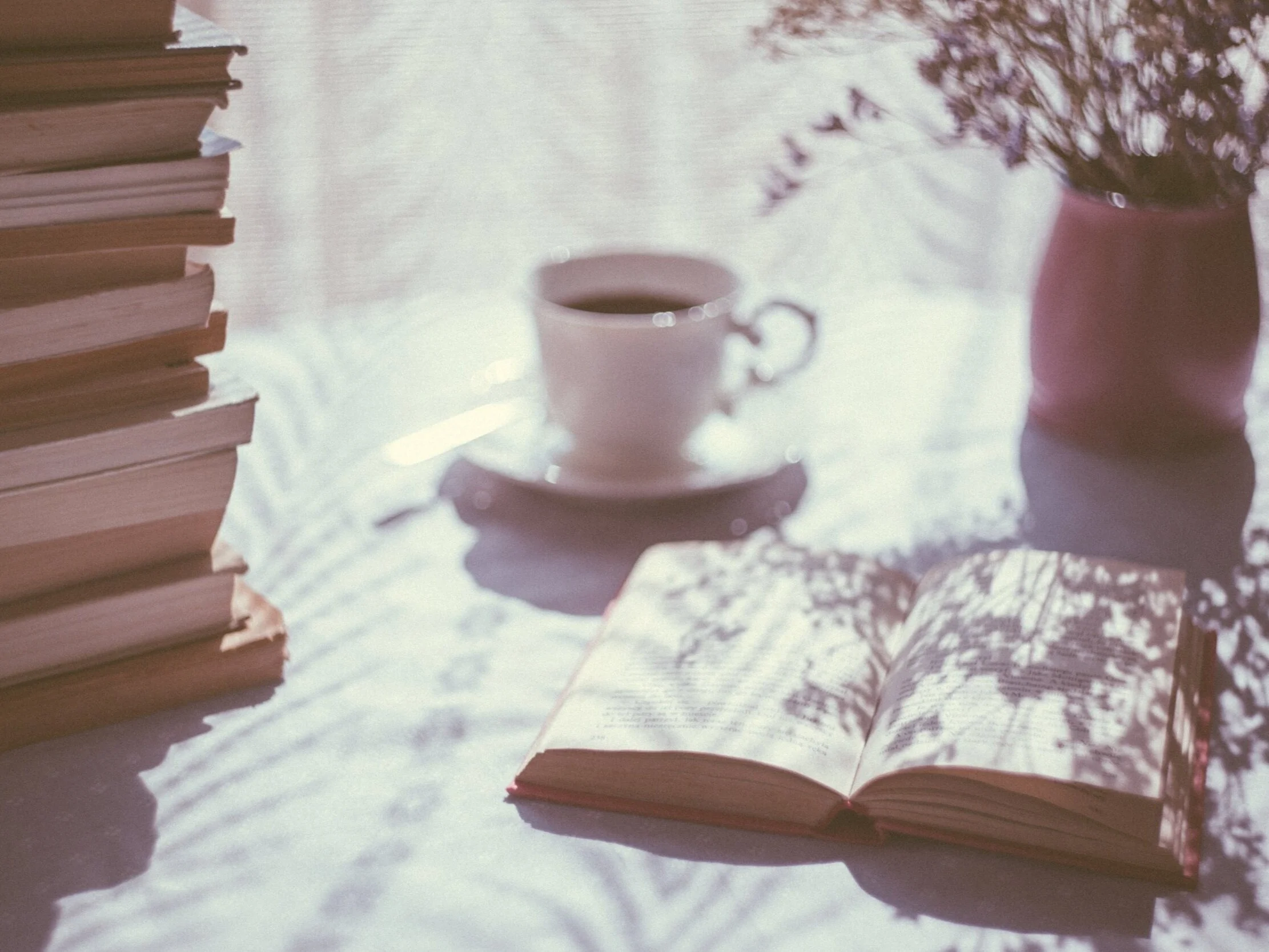 Four Fun Things: Local Authors