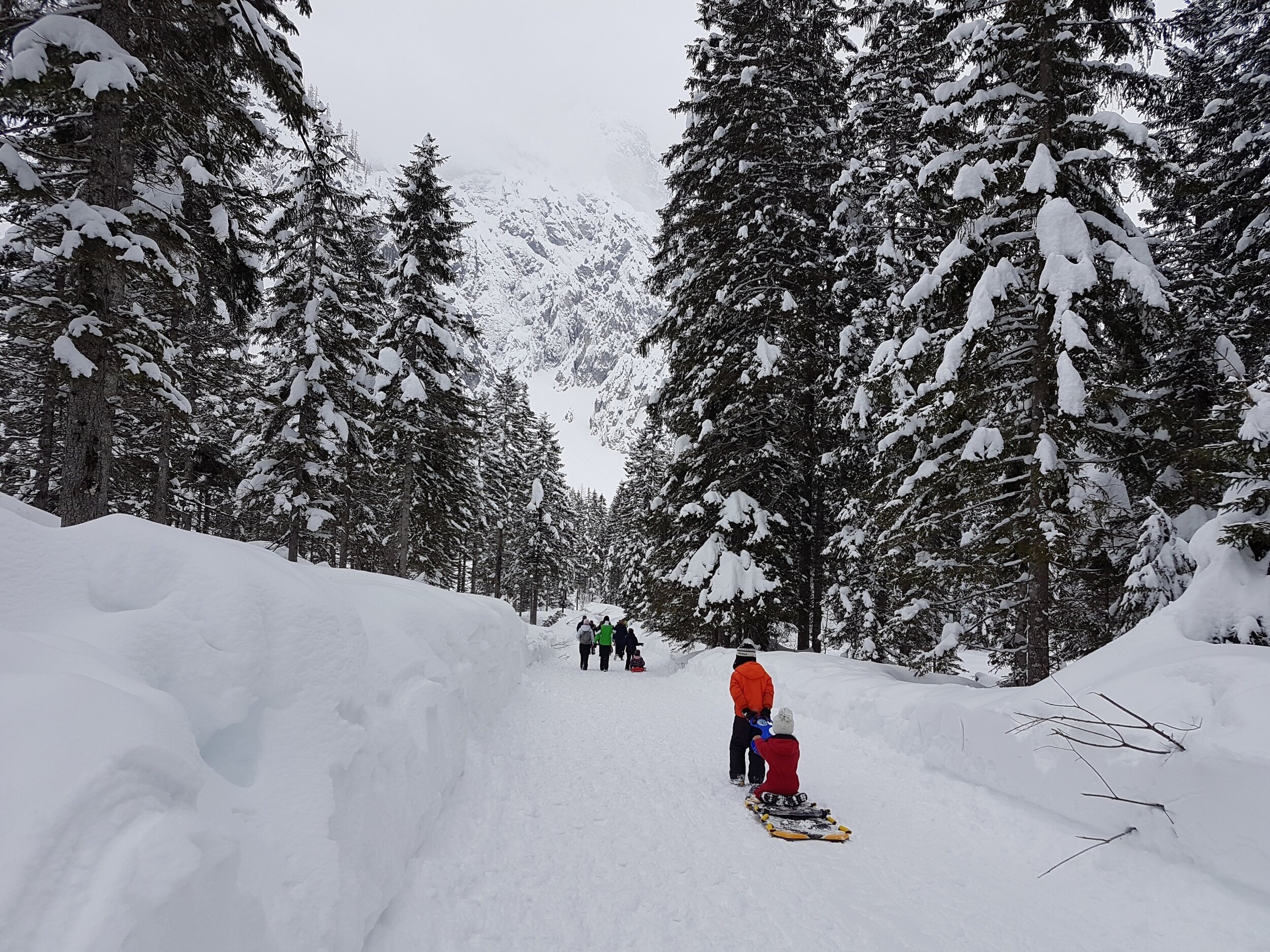 Seasonal Delights: Tubing and Sledding Spots