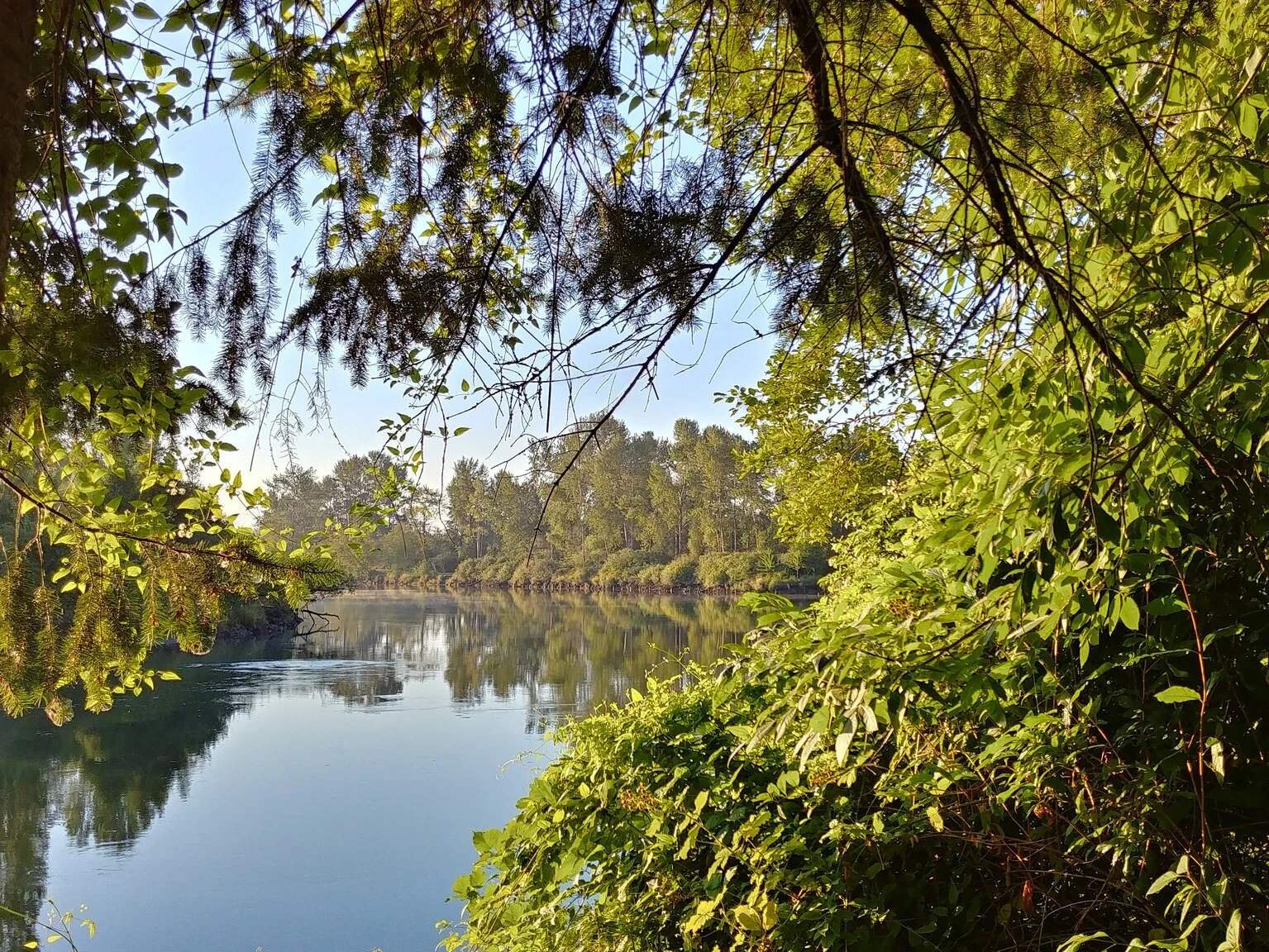 Four Fun Things: Picnic Spots