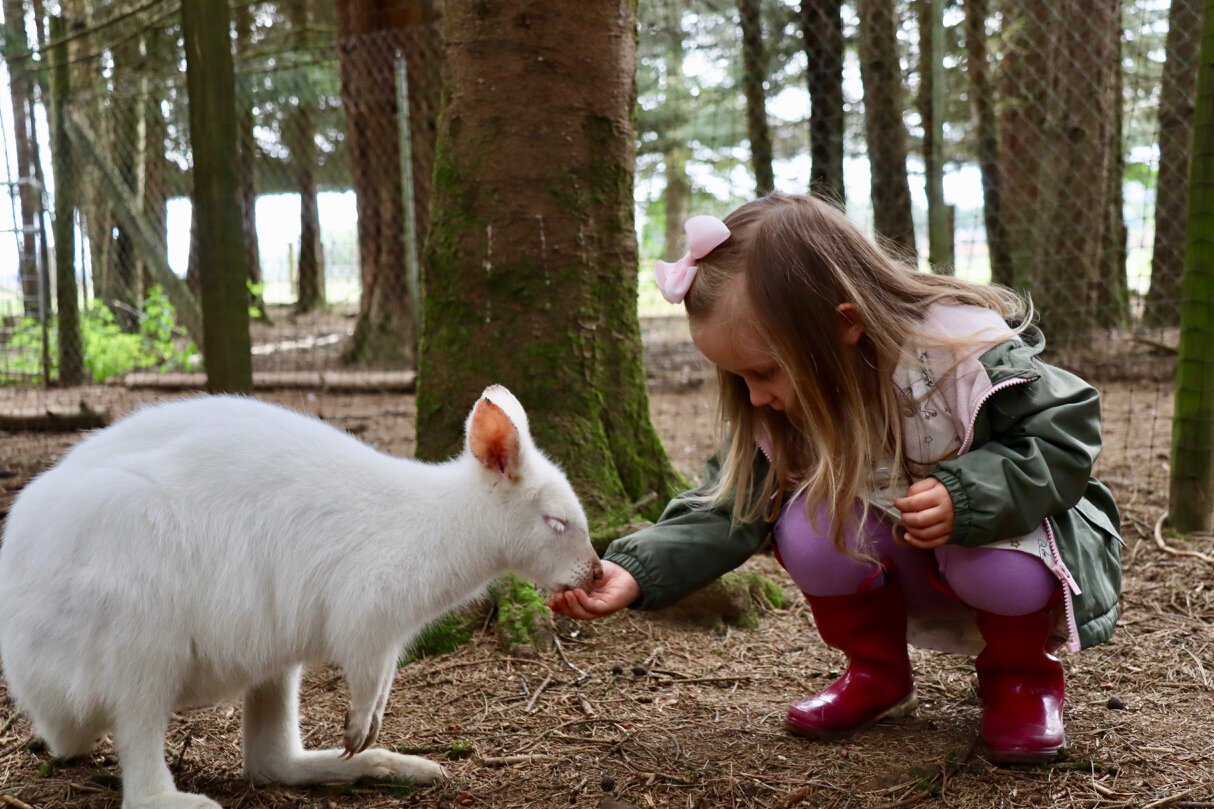 Four Fun Things: Fun Family Activities