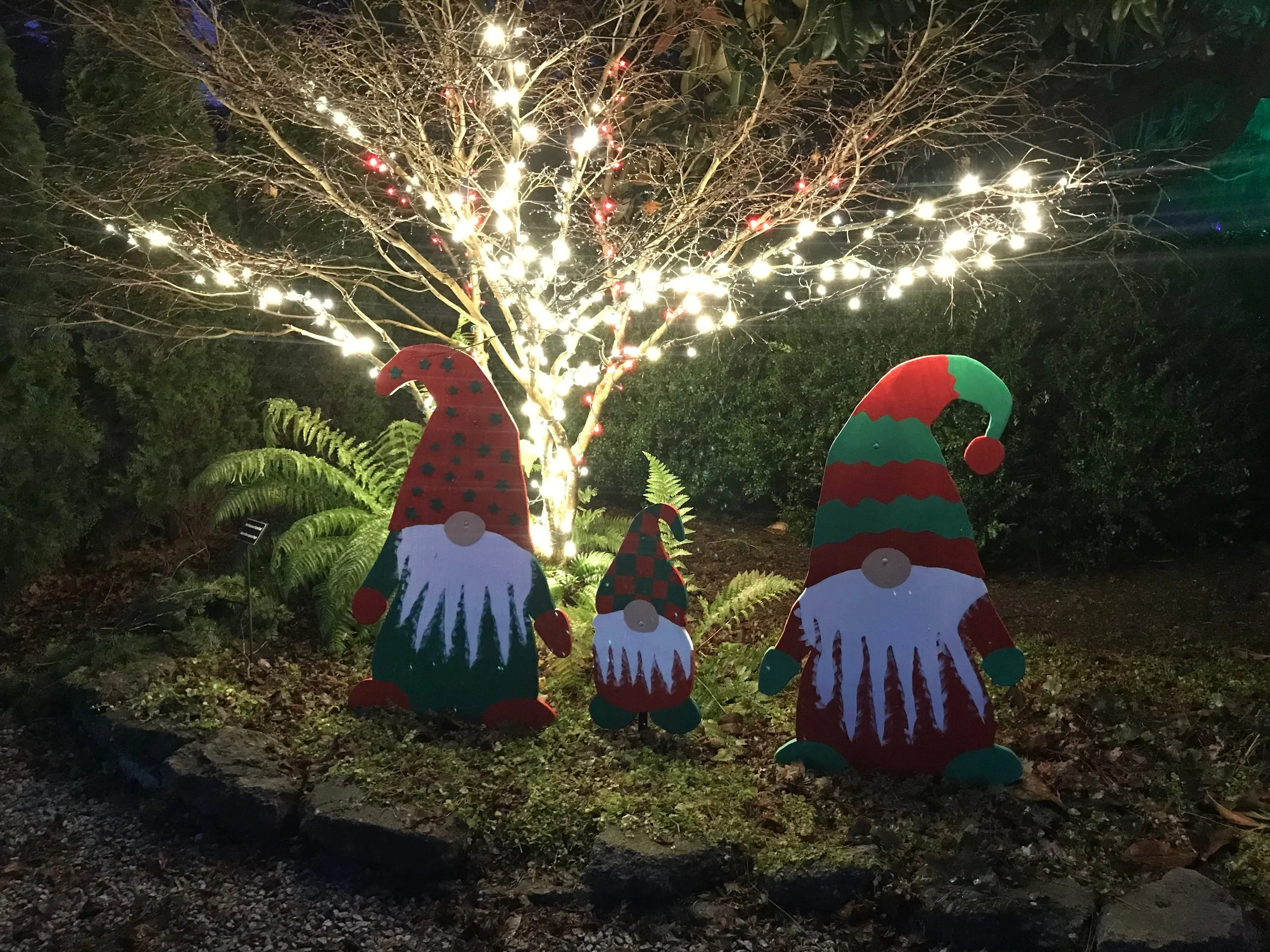 Four Fun Things: Holiday Lights