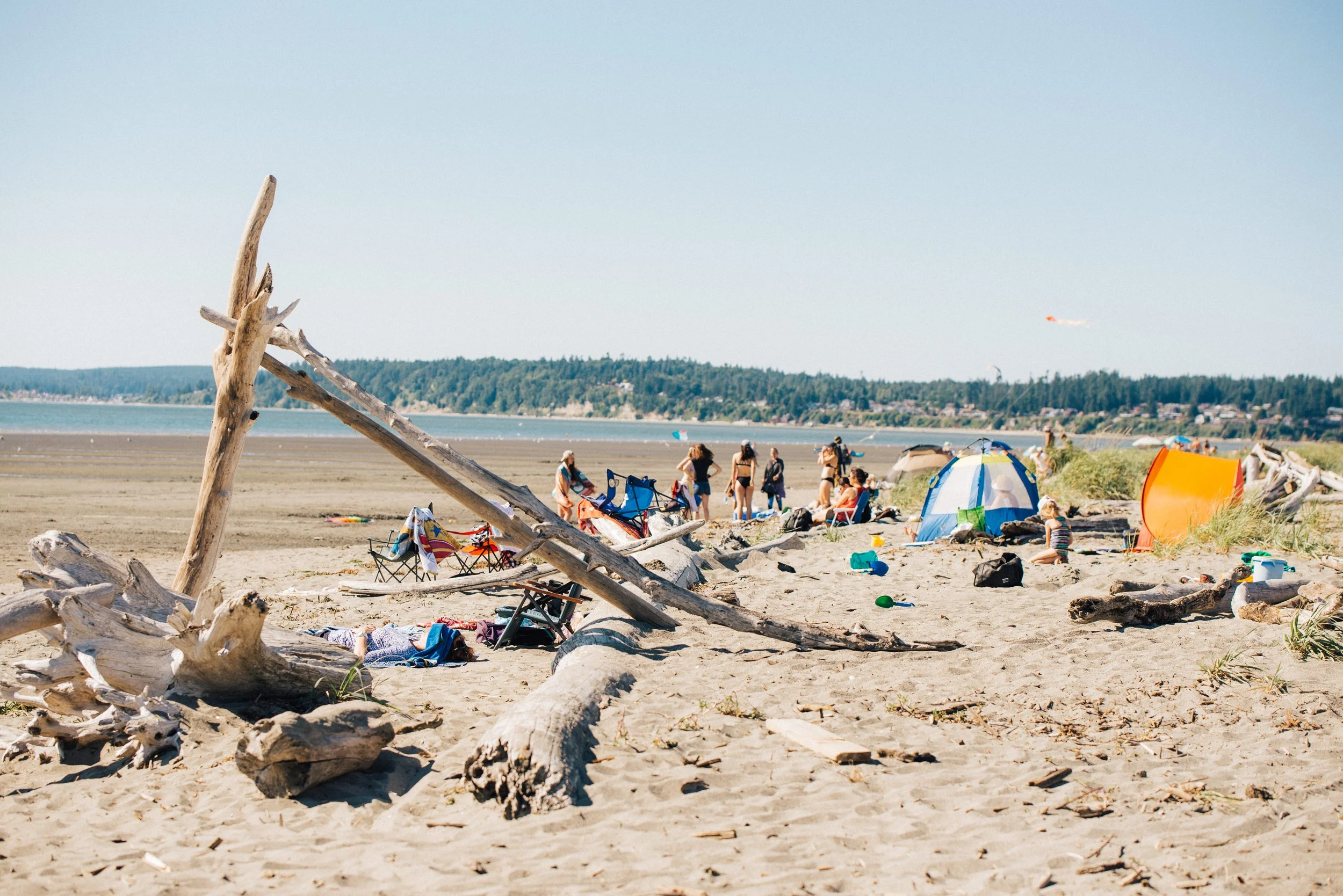 Seasonal Delights: Jetty Island Days