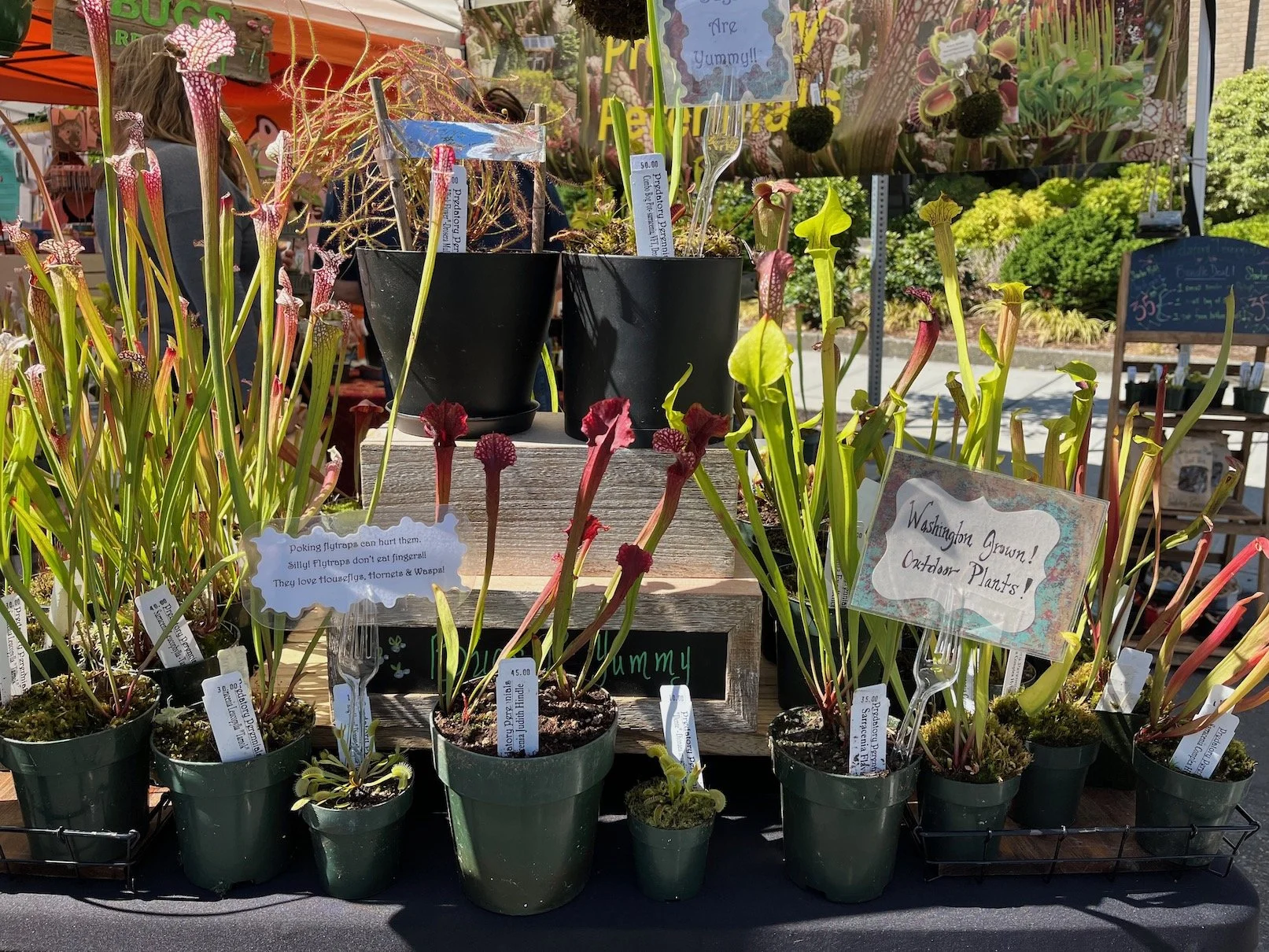 Four Fun Things Favorite Farmers Market Finds — Lamoureux Real Estate Blog