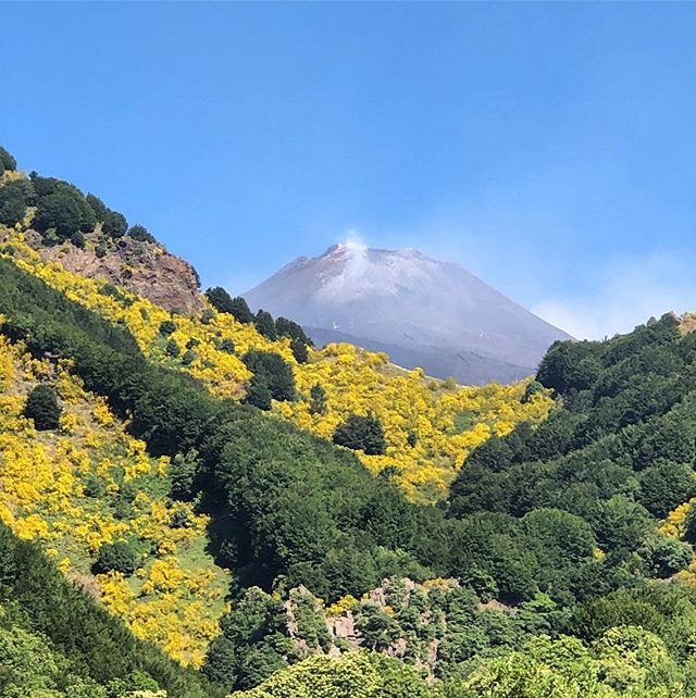 💥 🇮🇹 How awesome is this shot of the volcano? Our clients sent us this one from their trip a few weeks ago!!💥💥🇮🇹 #italy #italy🇮🇹 #Italytravel #italy_vacations #italywedding #italy_ig #italian #italianfood #sicily #volcano #mtetna #europetrav