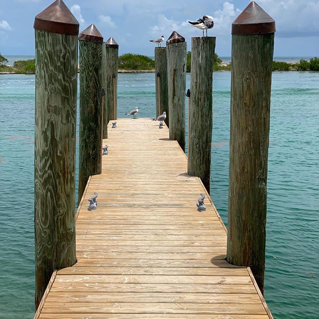 Redpin clients, the O'Lenick's, shared this awesome pic with us from their family vacation in the Florida Keys. Look at that water 😲 📍📍 #hawkscayresort #hawkscay #floridakeys #floridakeyslife #keywestflorida #thefloridakeys #pier #ocean #familyvac