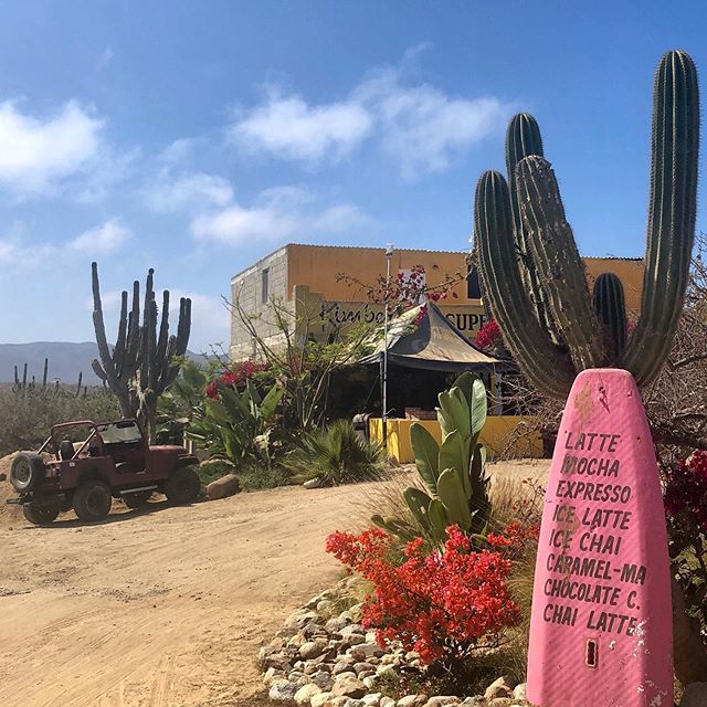 📍Renting a car in The Baja gets you to off the beaten path places like this📍Take a day or two to get outside the resort! #baja #mexico #cabo #cabosanlucas #desert #jeep #surf #todossantos #mexican #travel #explore #offroad #surfing #coffee #coffees