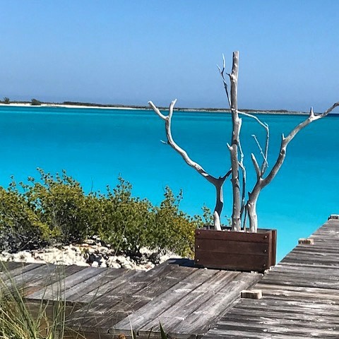 📍No edit at all! The Bahamas really do have it all📍#bahamas #thebahamas #exuma #exumabahamas #exumas #beach #beachvacation #vacation #vacay #travel #travelphotography #traveling #travelholic #sheisnotlost #wander #caribbean #island #islandgirl #isl