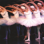 member-swan.png
