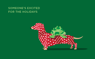 2018_Christmas_WrappedDog_e-Gift_Cards_640x400.png