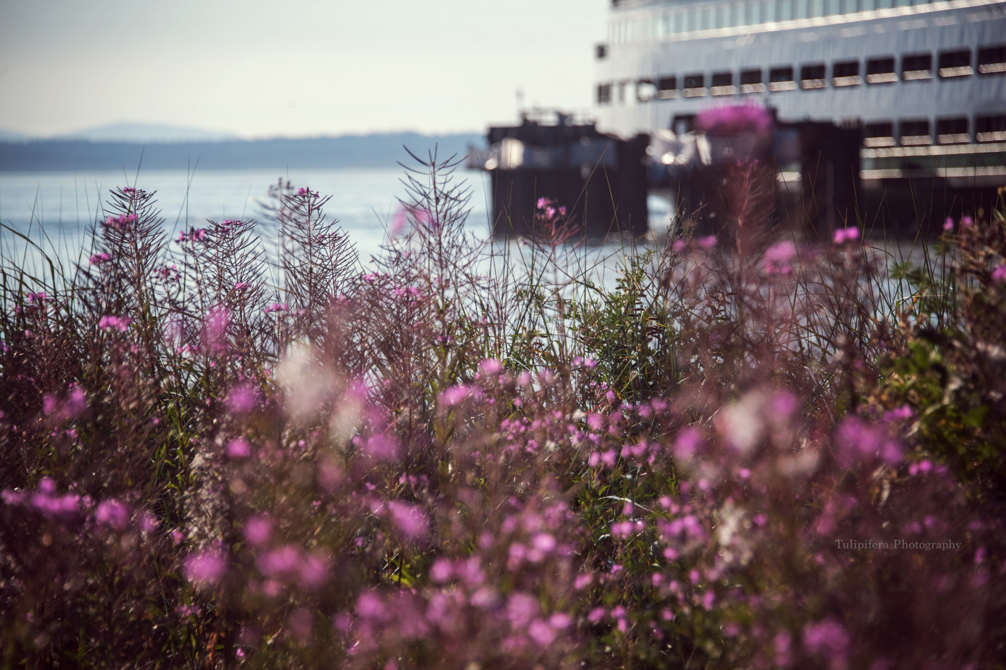 Screen Shot 2018-10-11 at 11.07.21 PM.png