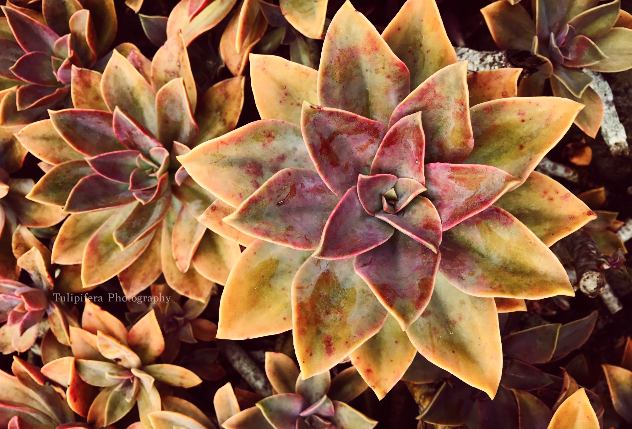 Screen Shot 2018-10-11 at 11.12.07 PM.png