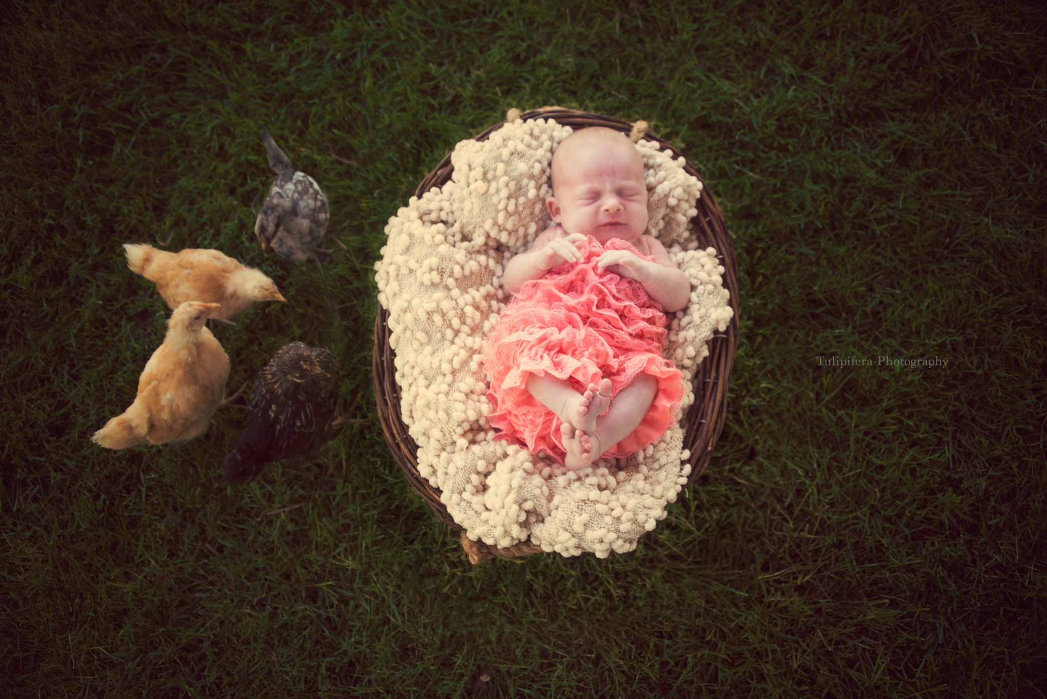 Screen Shot 2018-10-11 at 11.09.30 PM.png