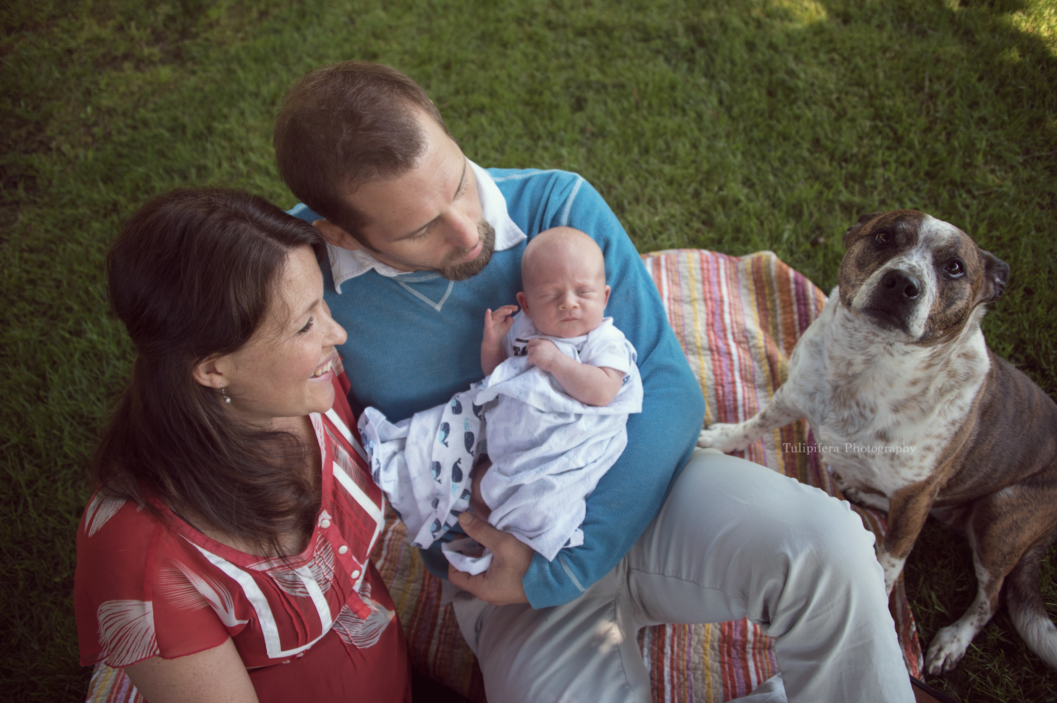 Families025.png