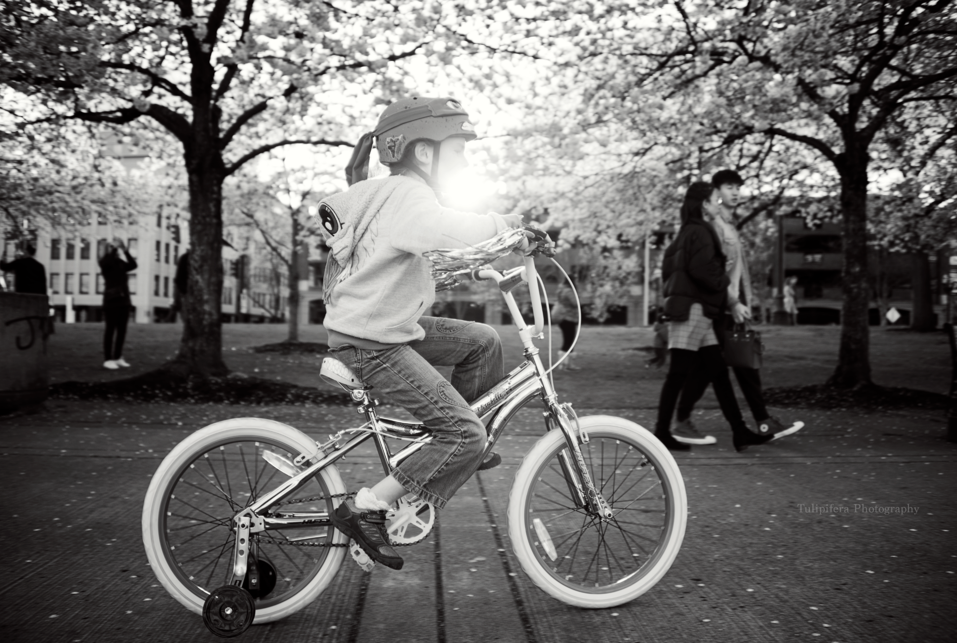 Screen Shot 2018-10-23 at 11.45.26 AM.png