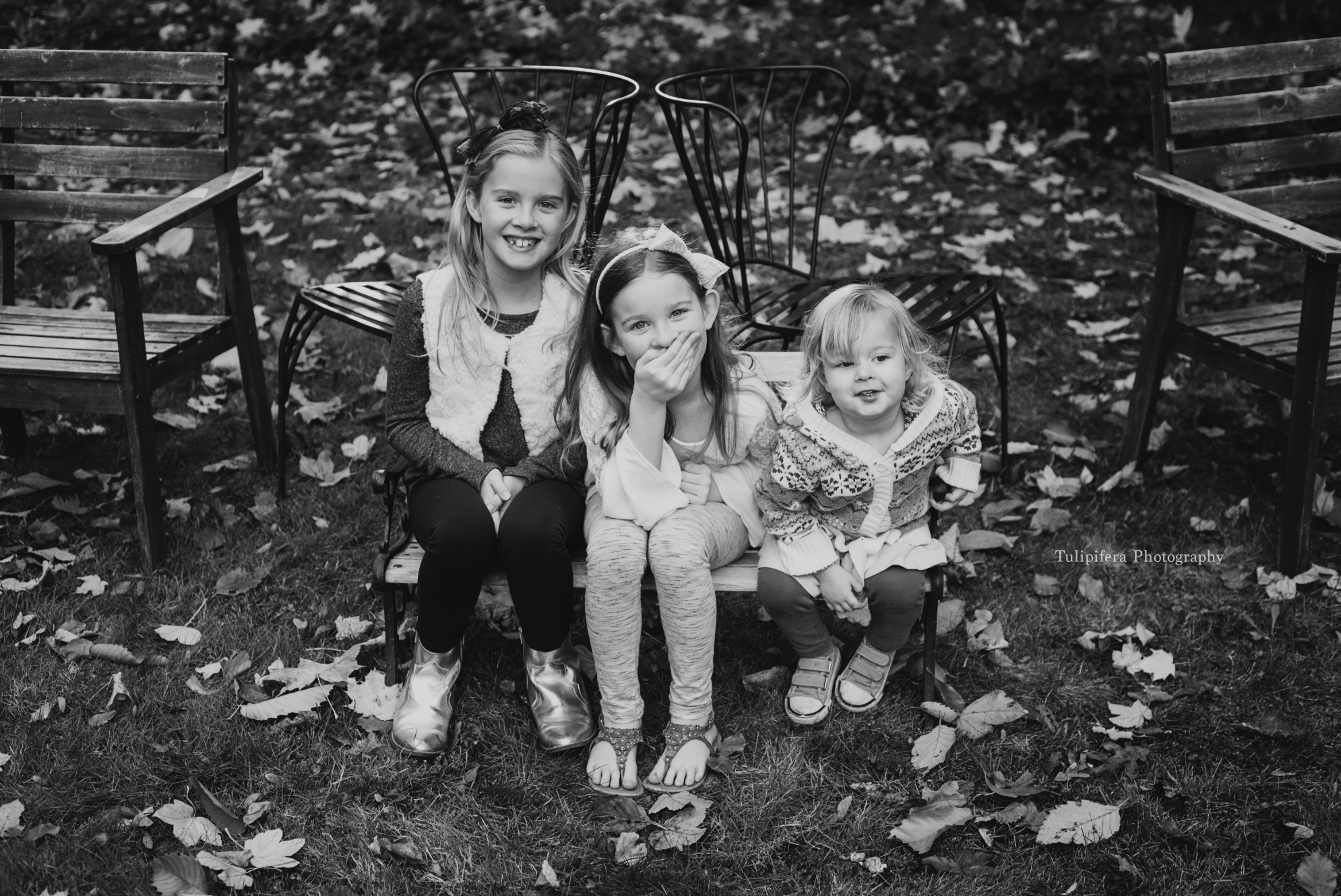 Screen Shot 2018-11-27 at 7.46.09 PM.png