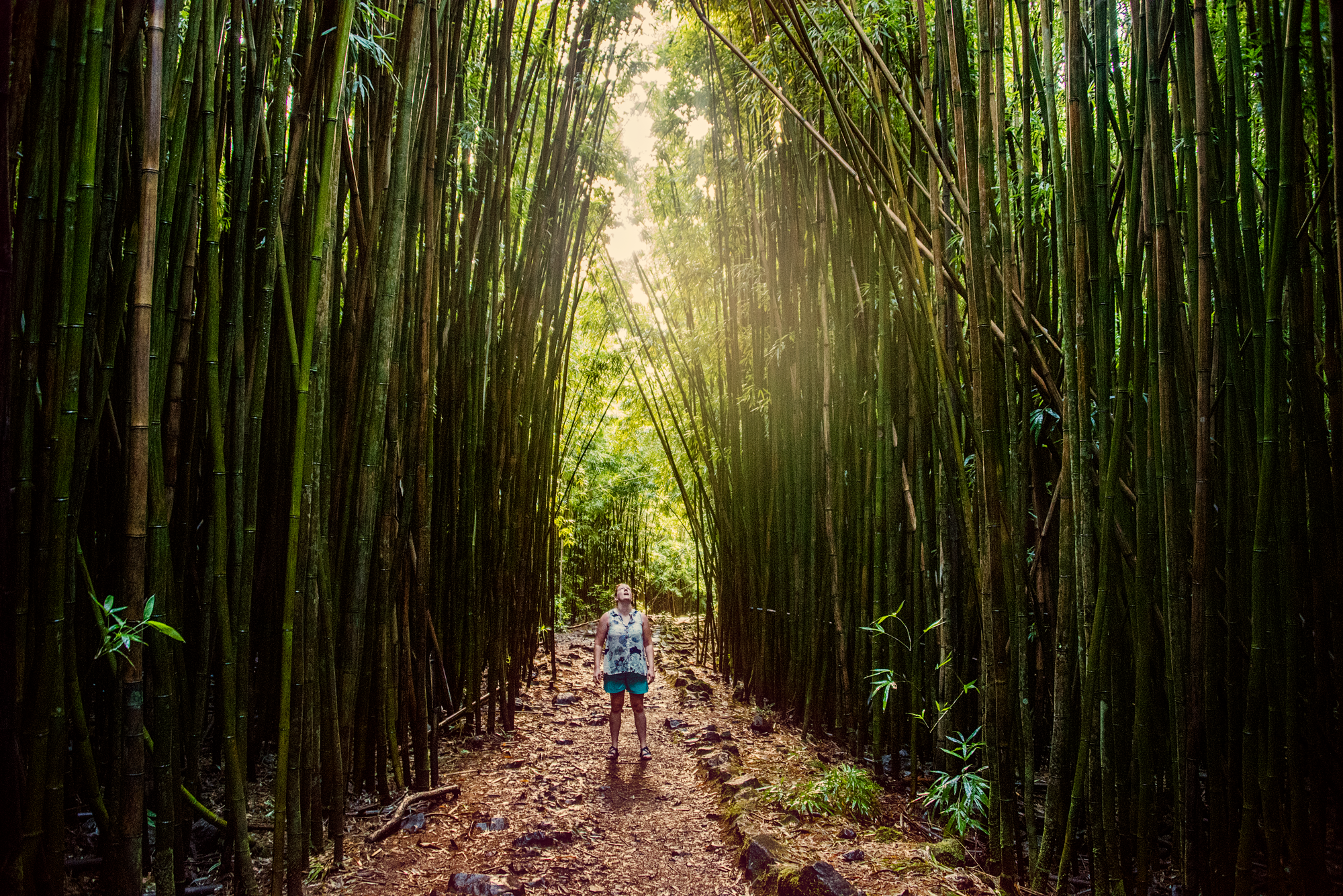Maui.png