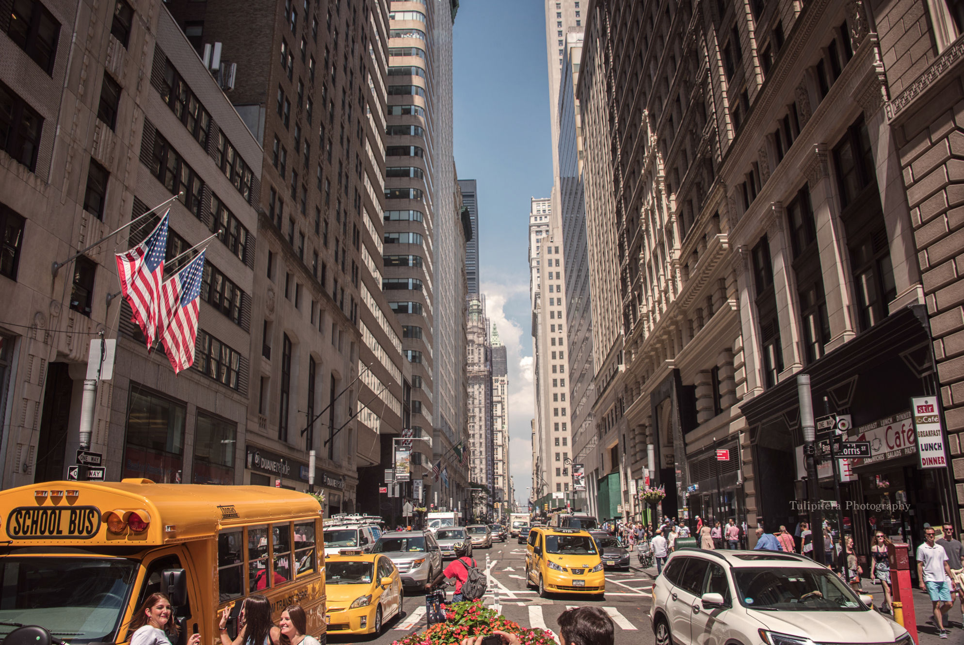 Lower Manhattan.png