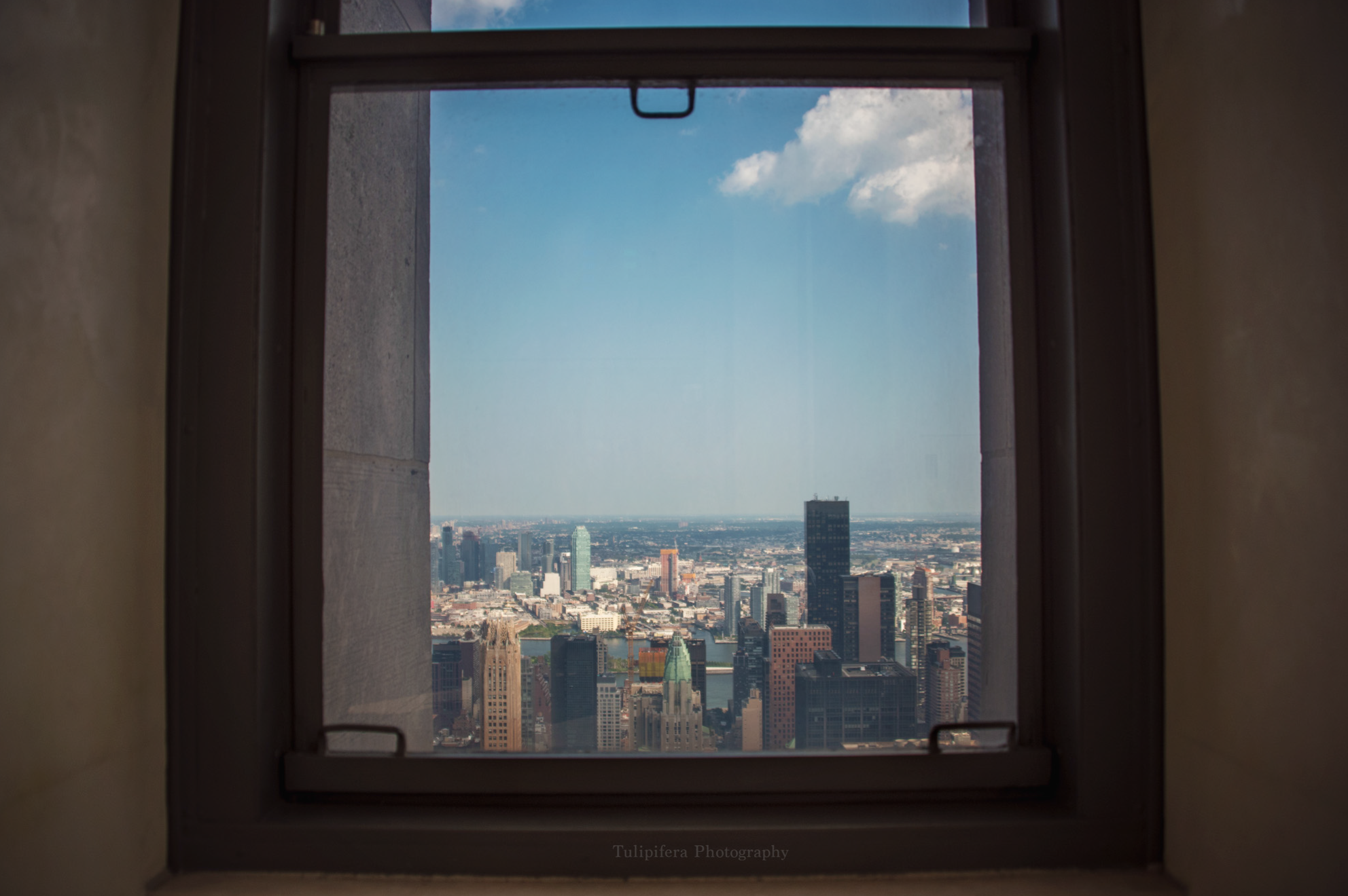Window.png