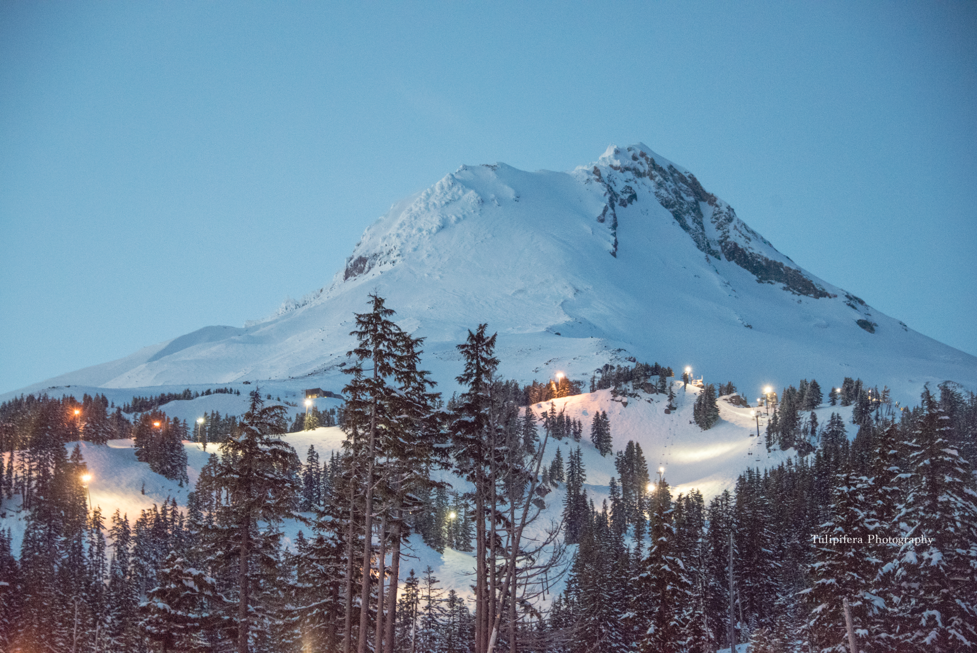 Mt. Hood Meadows.png