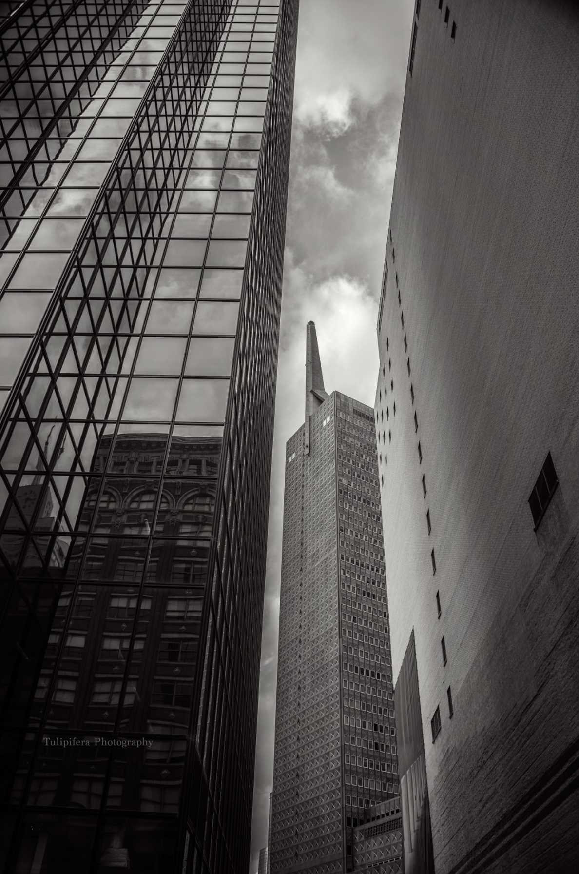 Downtown Dallas.png