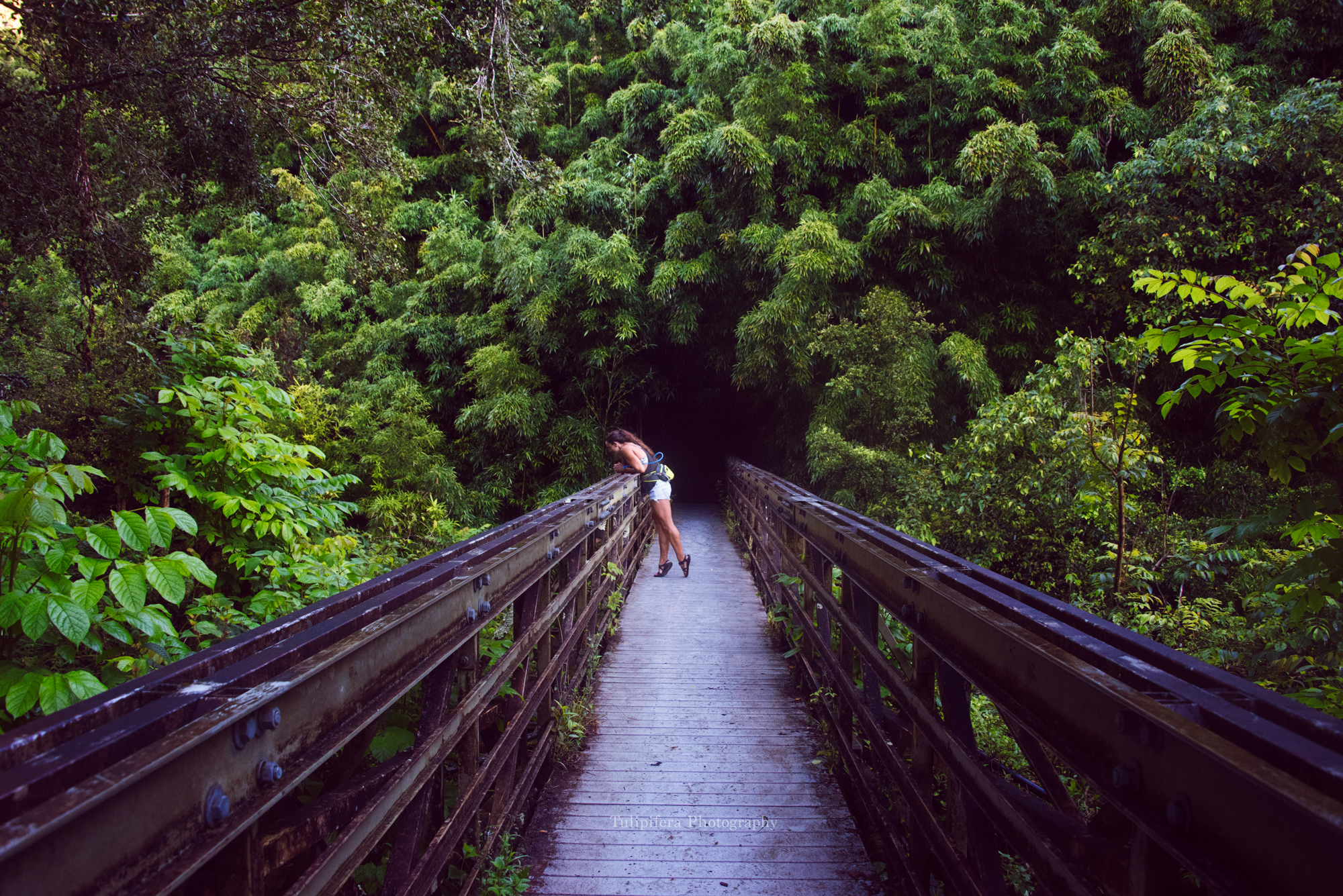 Hana_Maui044.png