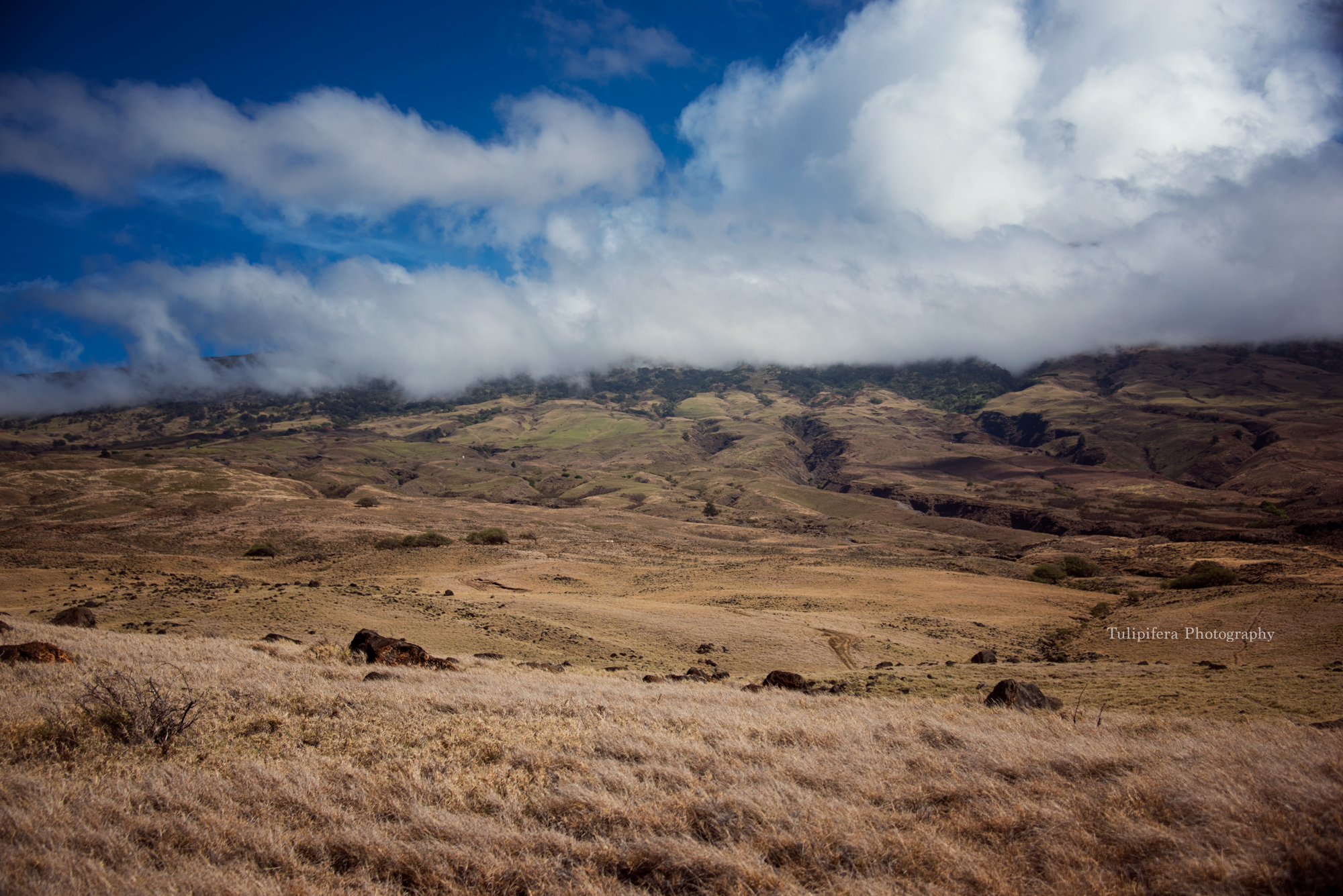 Hana_Maui056.png