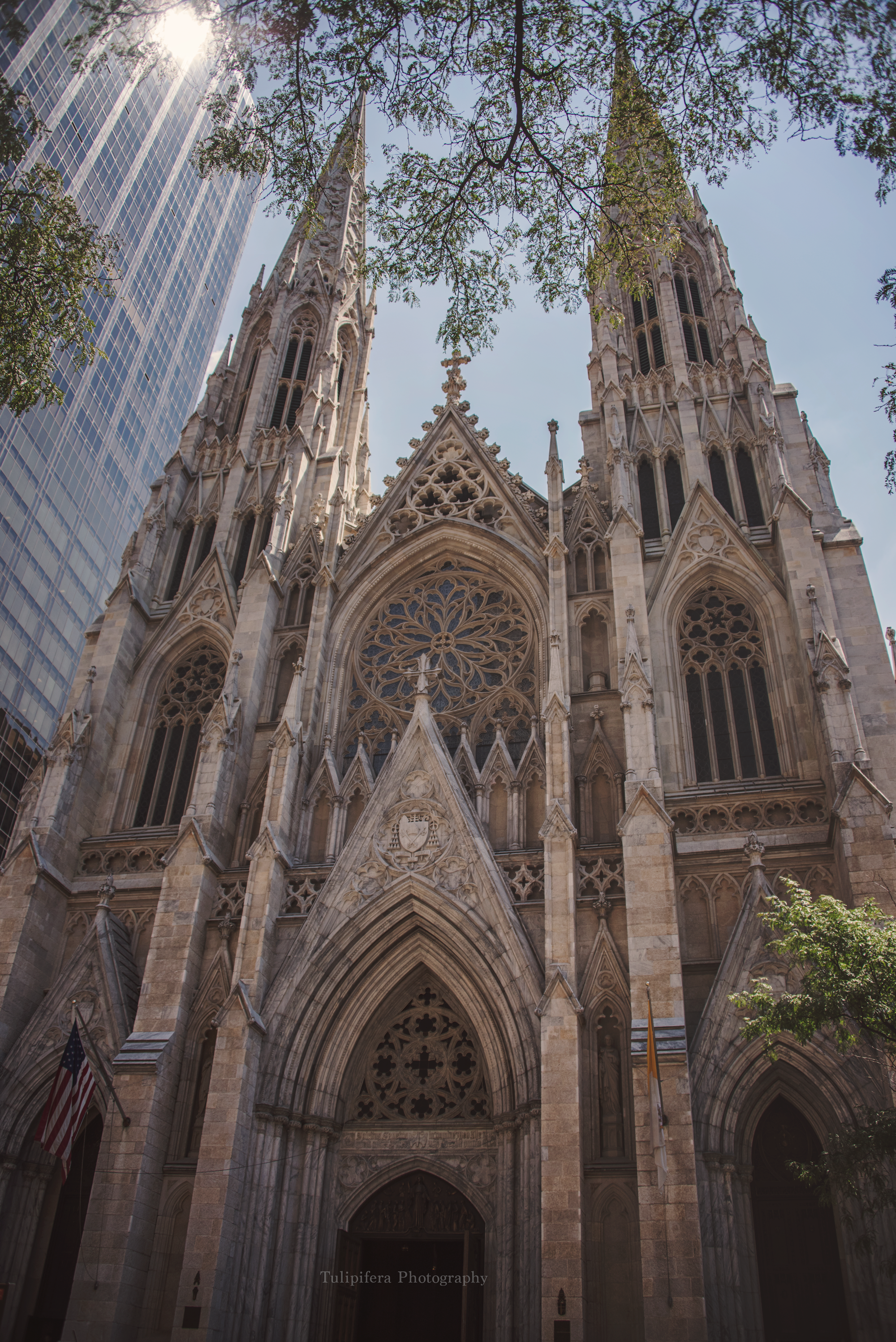 DSC_5801.png
