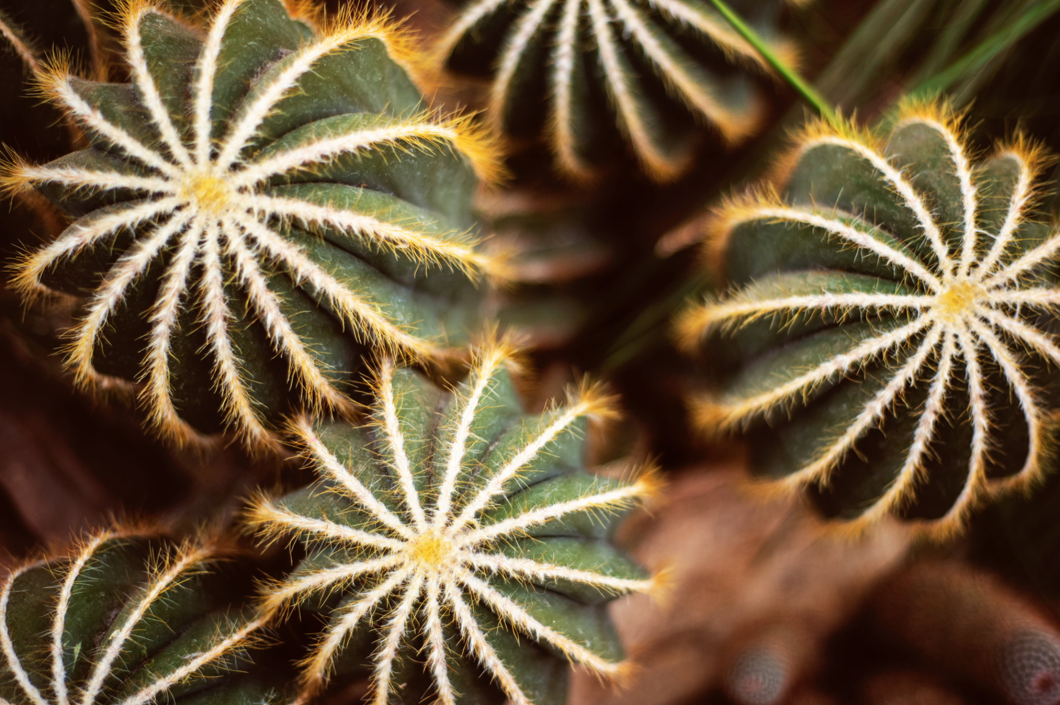 Screen Shot 2020-10-09 at 11.58.26 PM.png