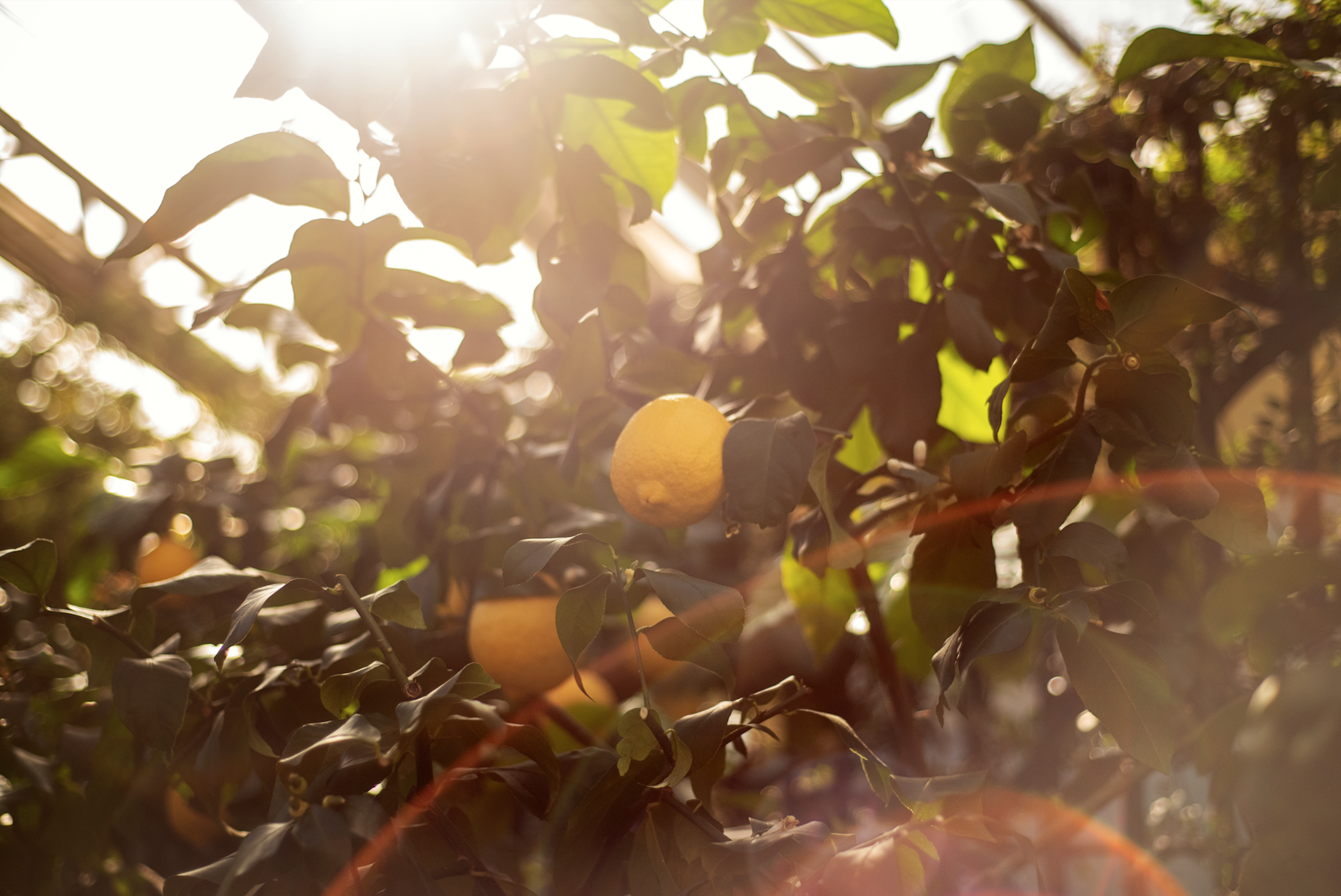 Screen Shot 2020-10-09 at 11.59.57 PM.png