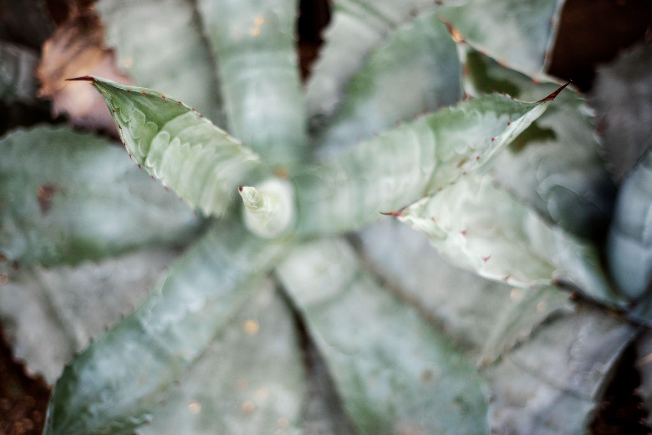 Screen Shot 2020-10-10 at 12.01.05 AM.png