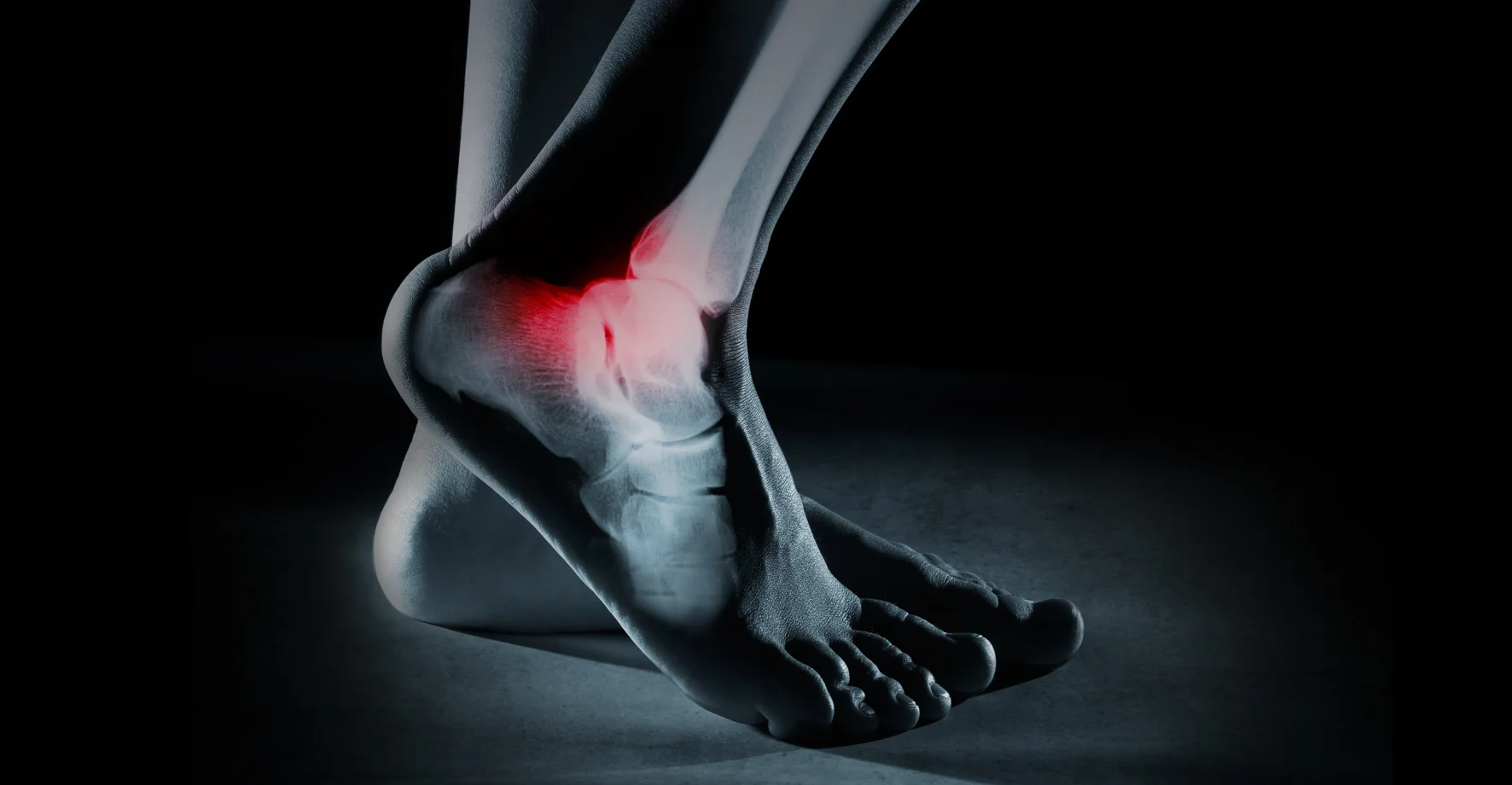 Ankle.jpg